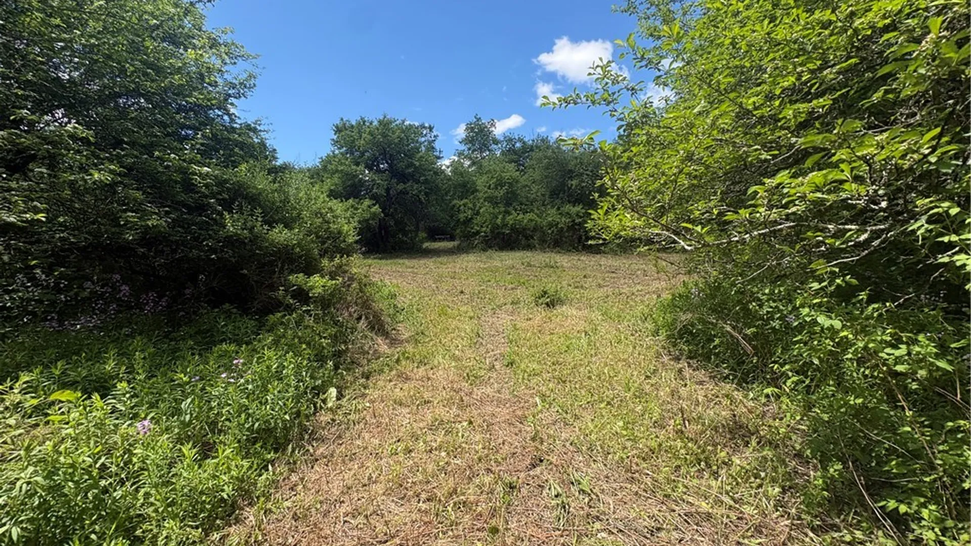 Property at 5386 County Route 11, Thurston, NY 14810 13