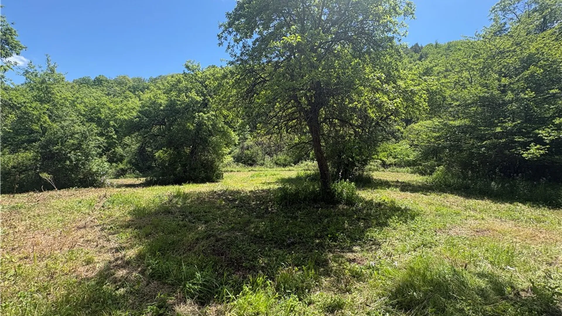 Property at 5386 County Route 11, Thurston, NY 14810 14