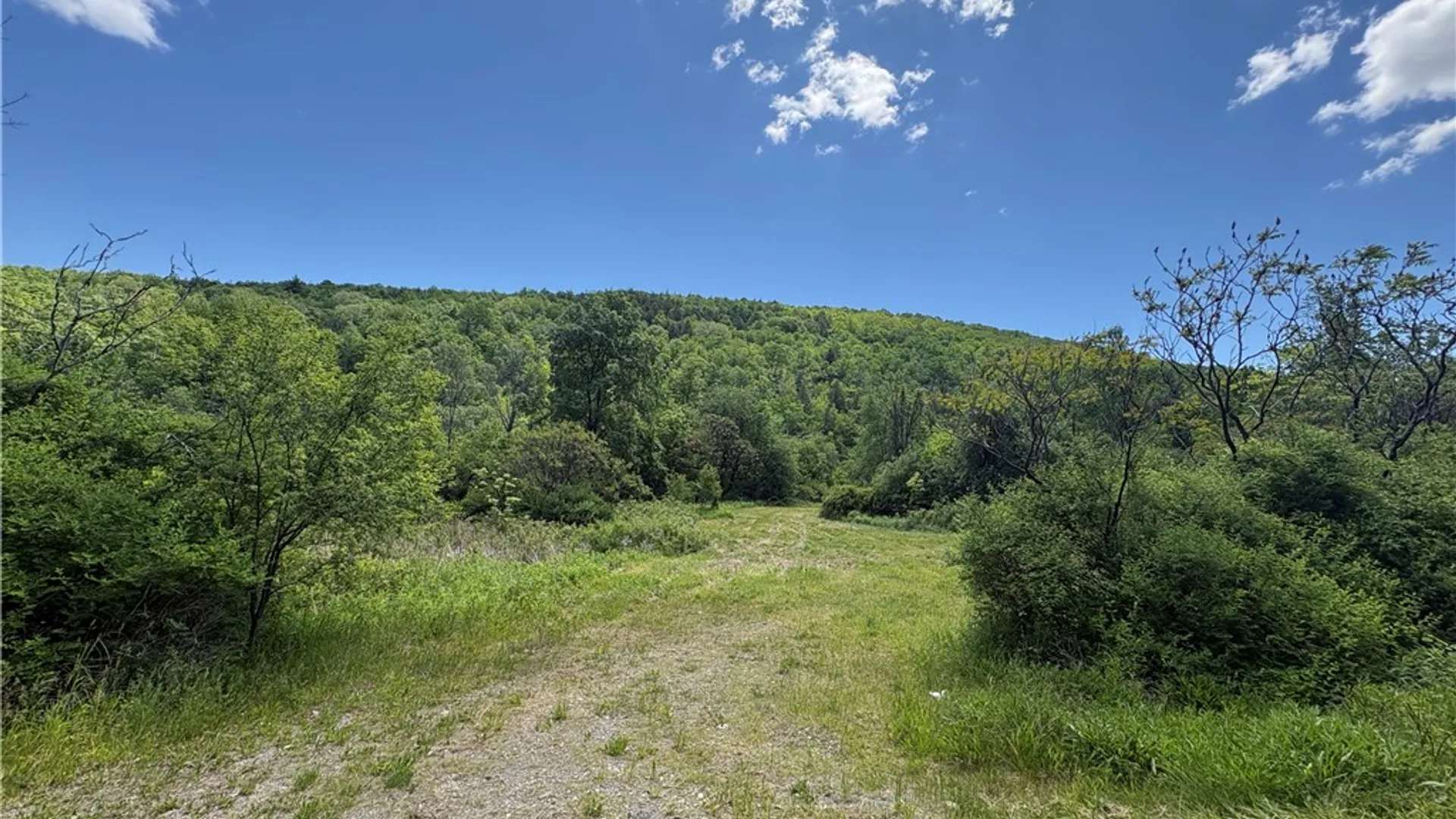 Property at 5386 County Route 11, Thurston, NY 14810 7