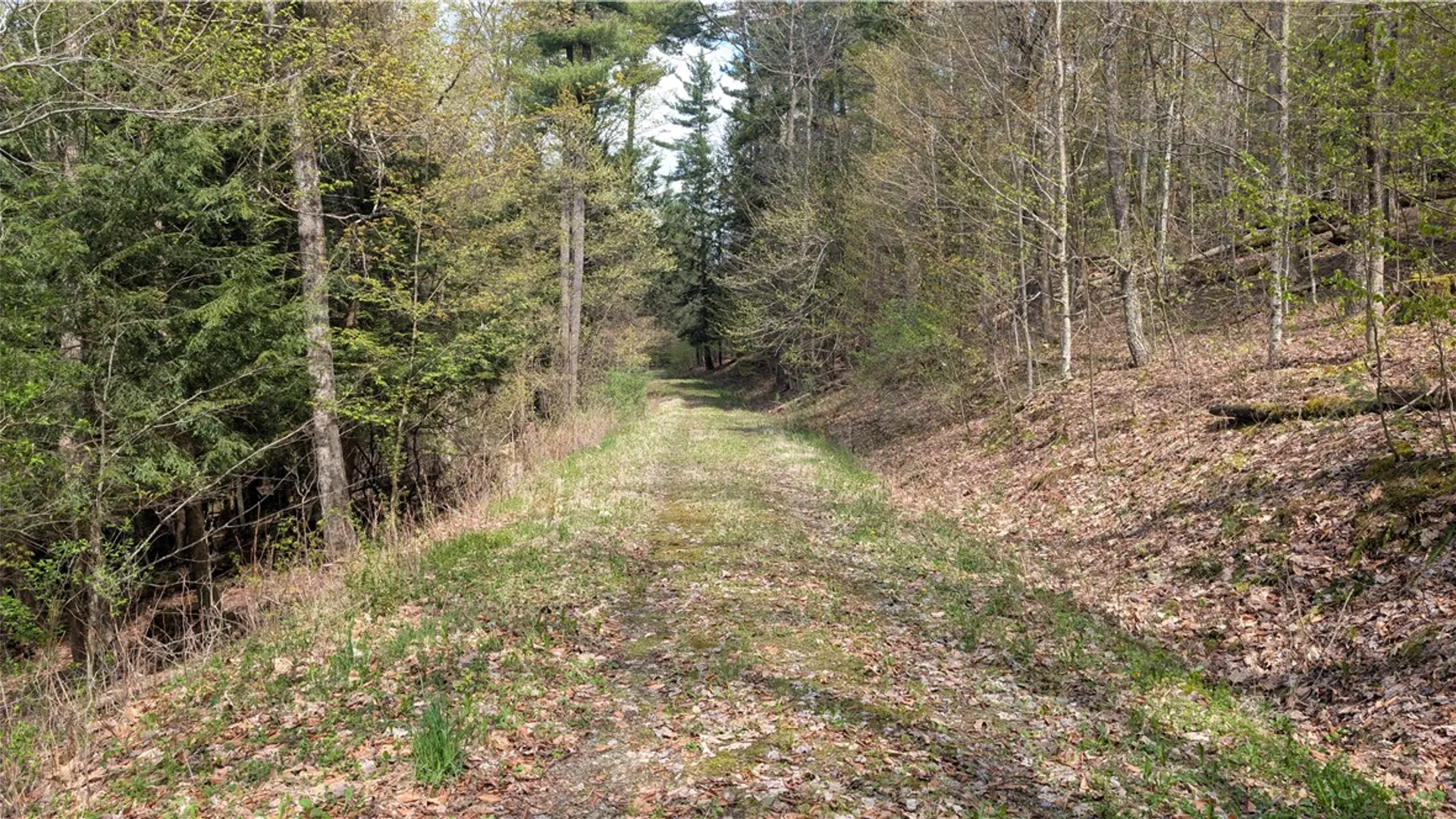 Property at Lot 12.32 Cr-31, Middlefield, NY 13326 10