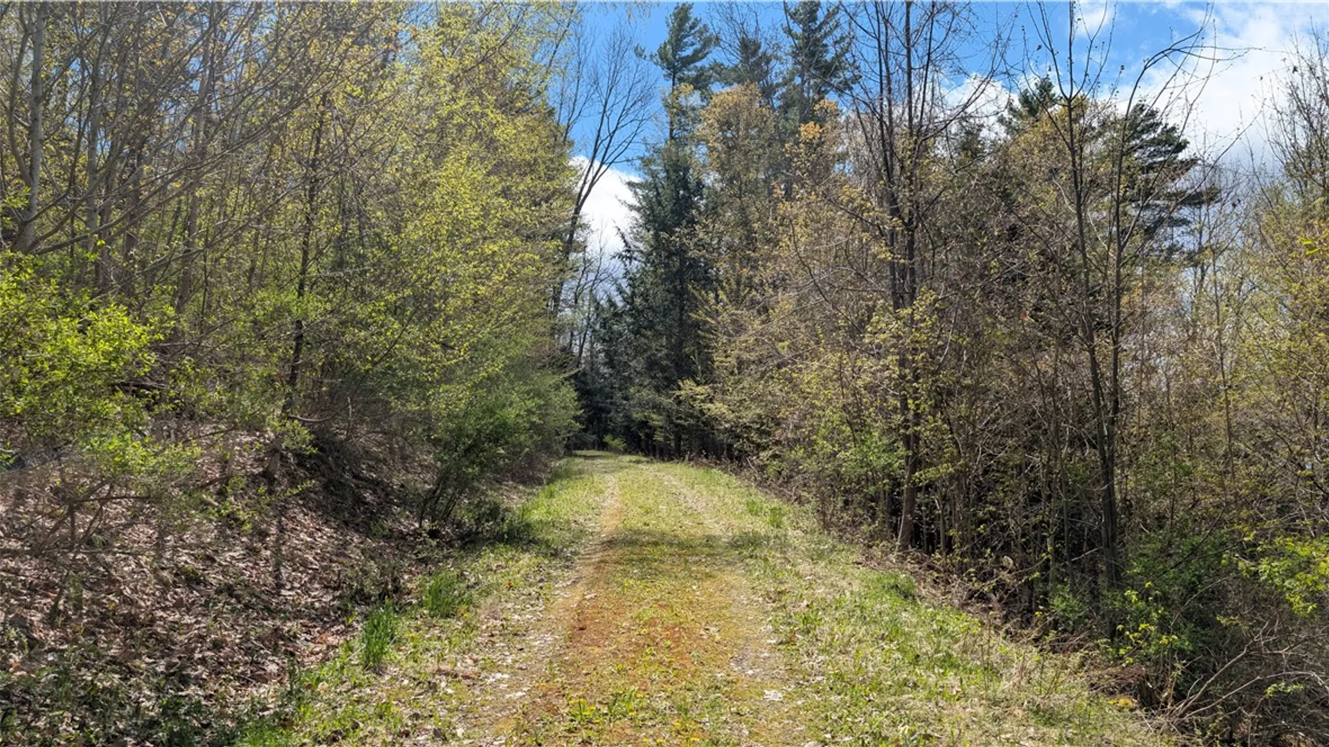 Property at Lot 12.32 Cr-31, Middlefield, NY 13326 11