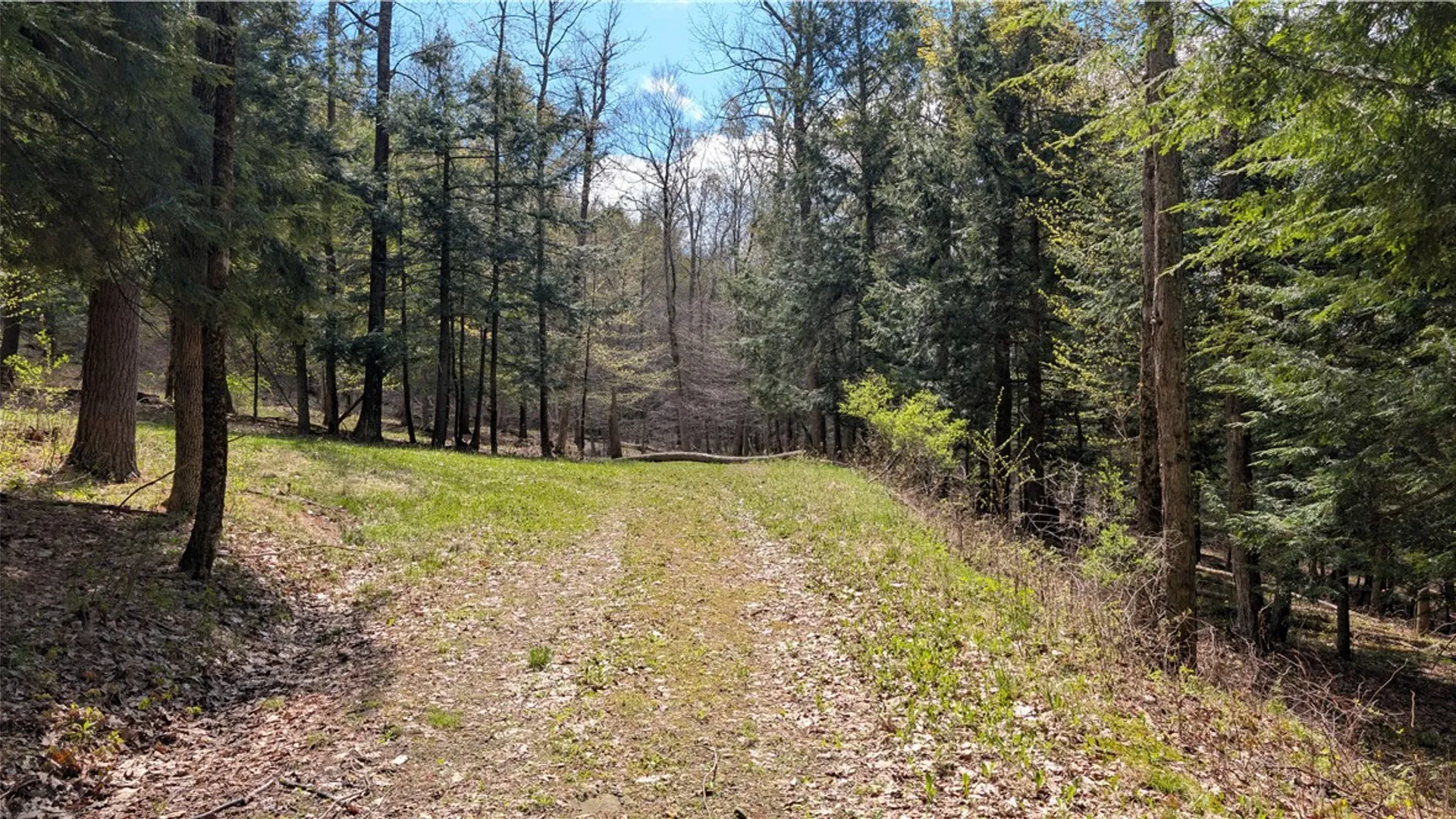 Property at Lot 12.32 Cr-31, Middlefield, NY 13326 12