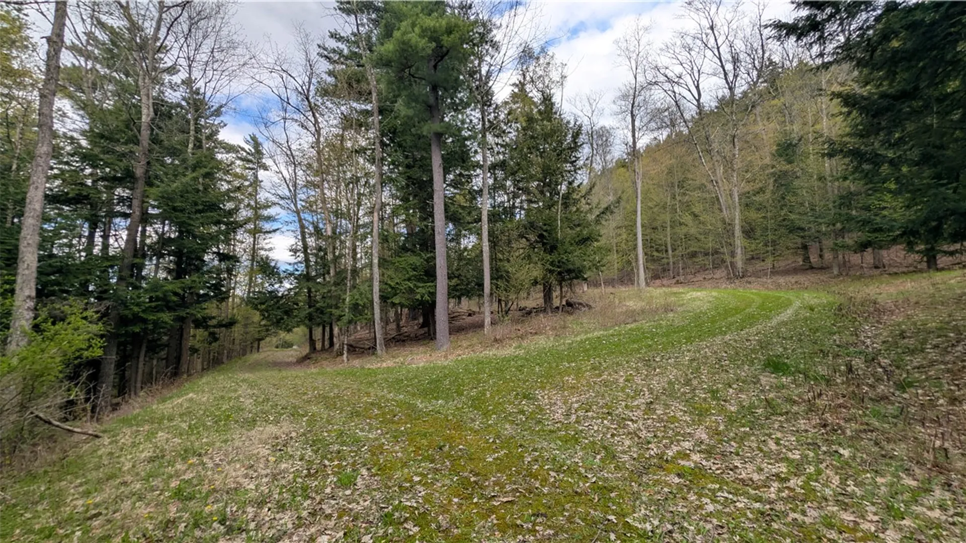 Property at Lot 12.32 Cr-31, Middlefield, NY 13326 13