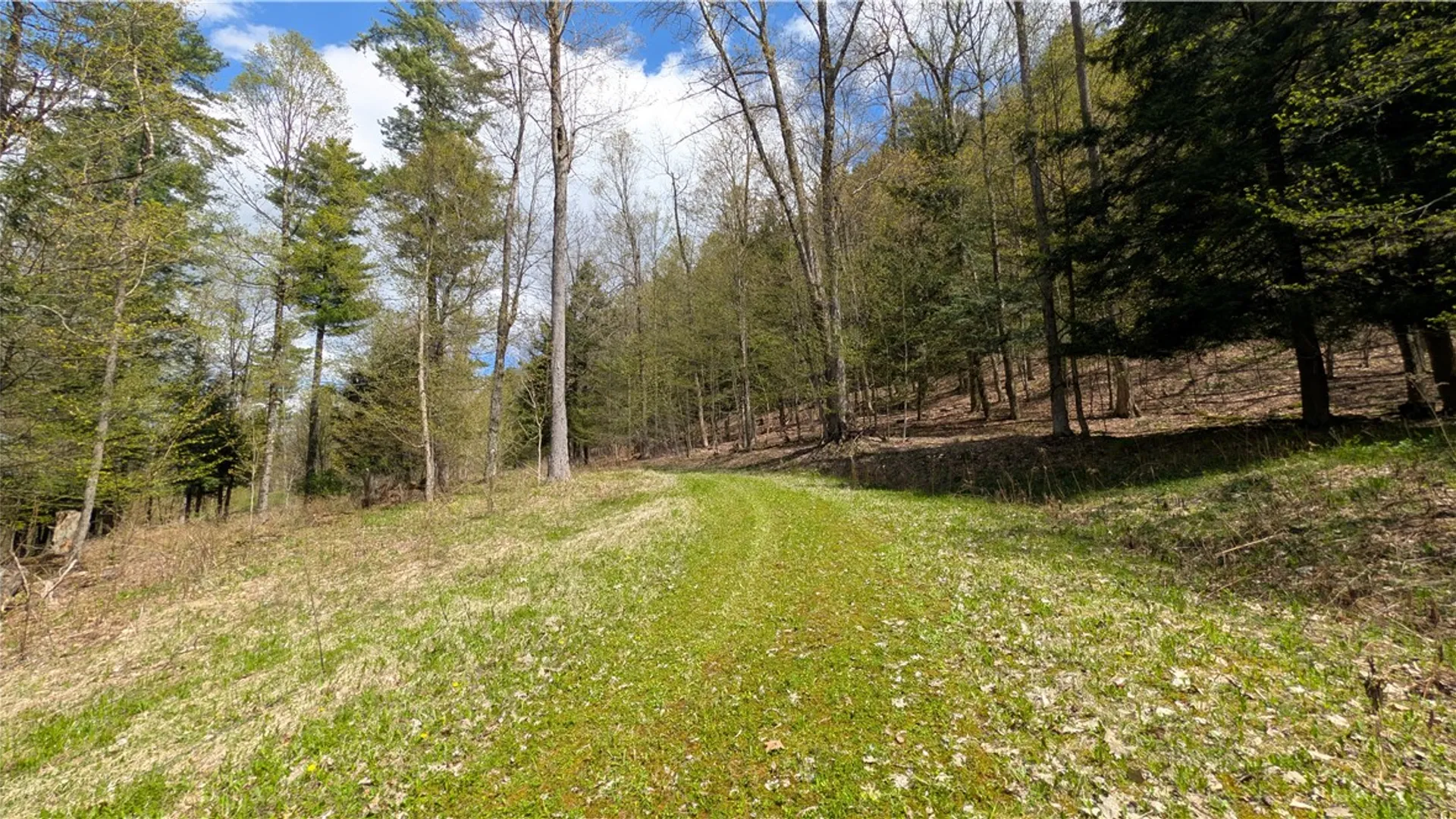 Property at Lot 12.32 Cr-31, Middlefield, NY 13326 14