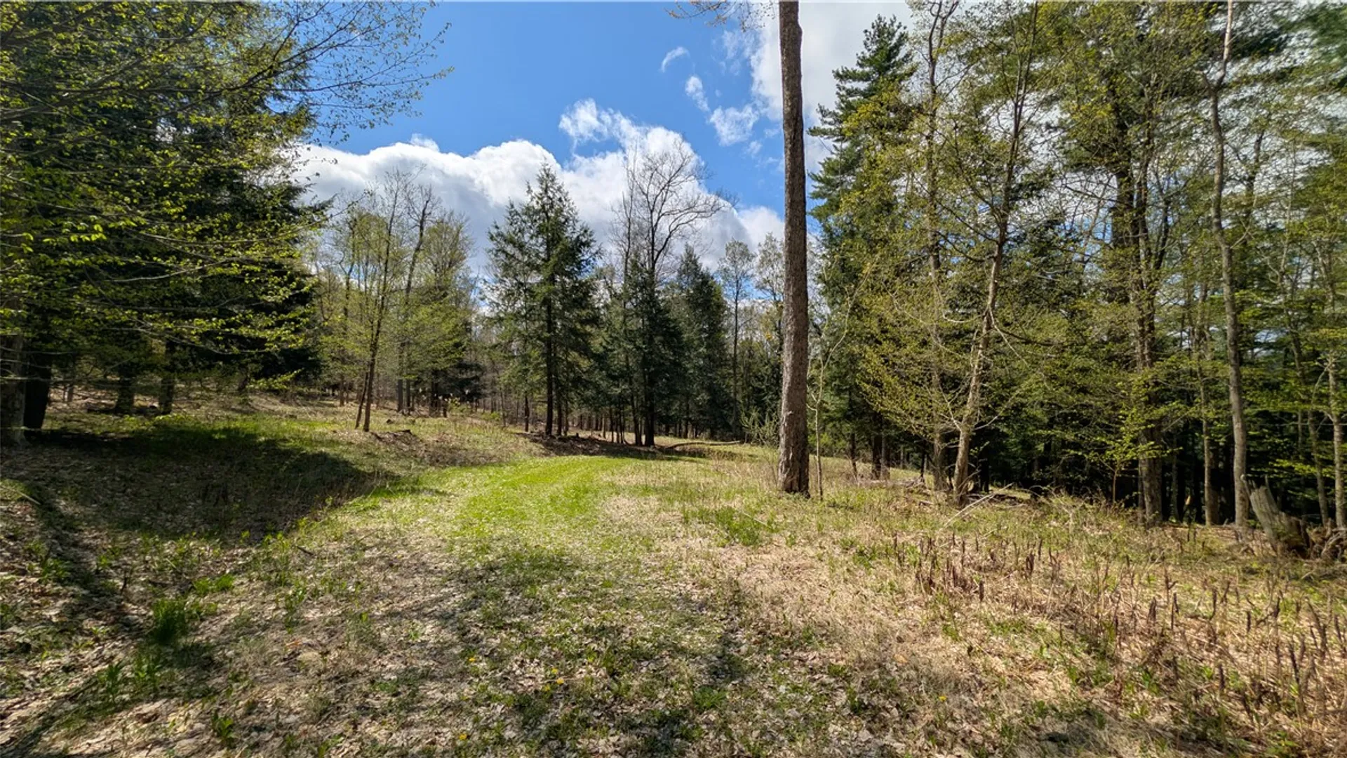 Property at Lot 12.32 Cr-31, Middlefield, NY 13326 15