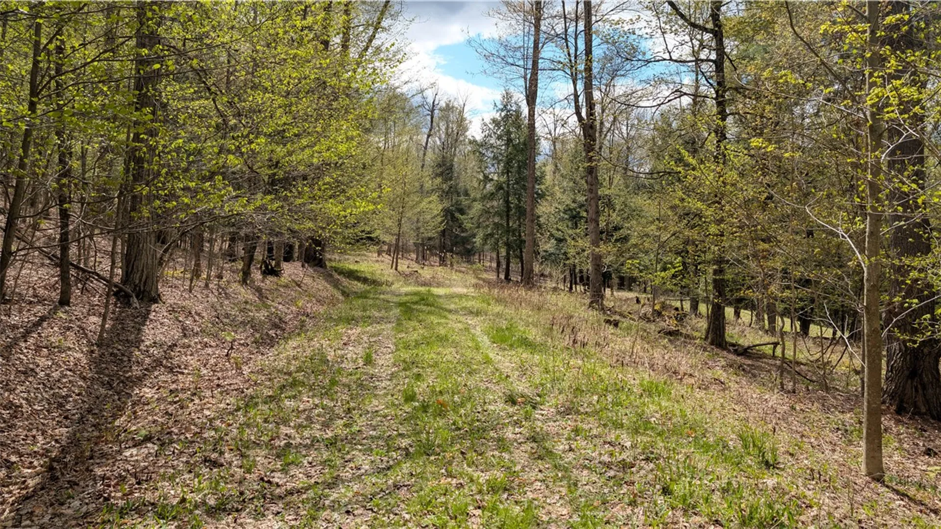 Property at Lot 12.32 Cr-31, Middlefield, NY 13326 16