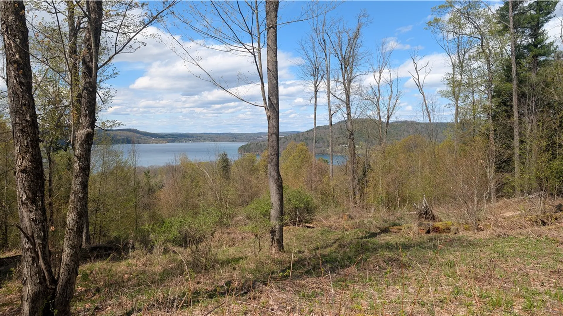Property at Lot 12.32 Cr-31, Middlefield, NY 13326 17