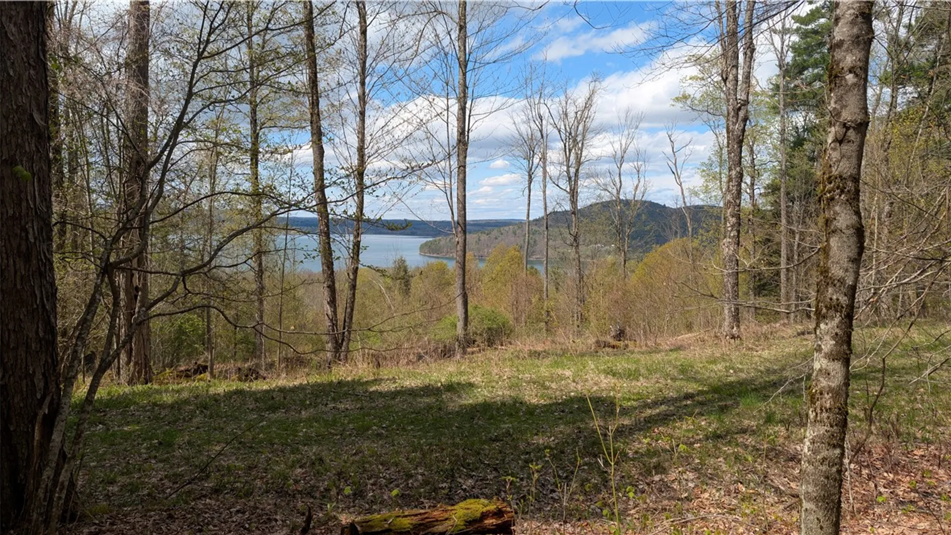 Property at Lot 12.32 Cr-31, Middlefield, NY 13326 21
