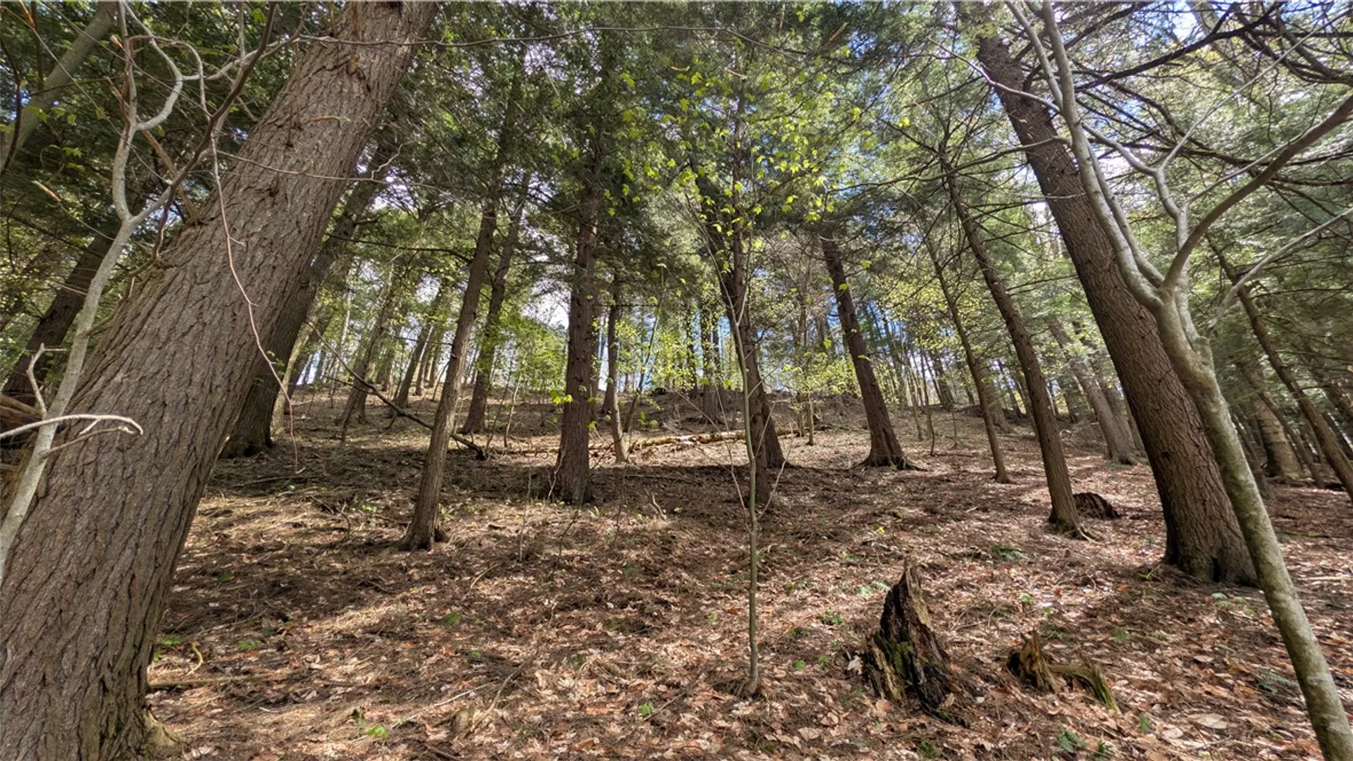 Property at Lot 12.32 Cr-31, Middlefield, NY 13326 22