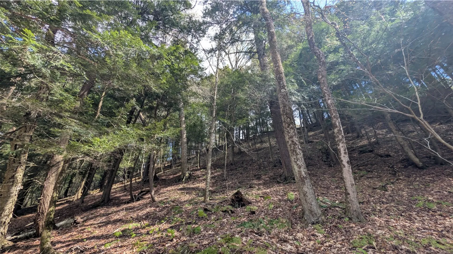 Property at Lot 12.32 Cr-31, Middlefield, NY 13326 23