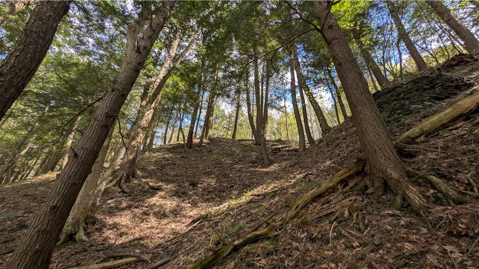 Property at Lot 12.32 Cr-31, Middlefield, NY 13326 25