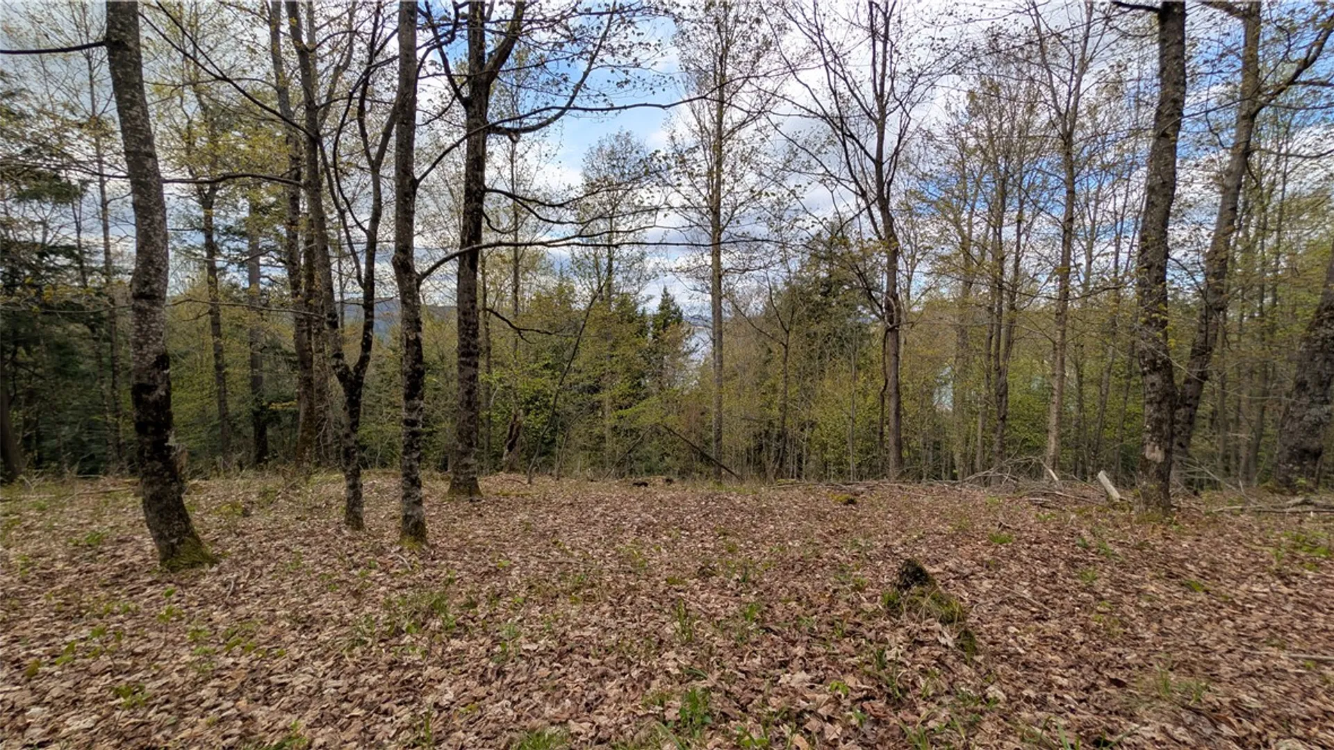 Property at Lot 12.32 Cr-31, Middlefield, NY 13326 27