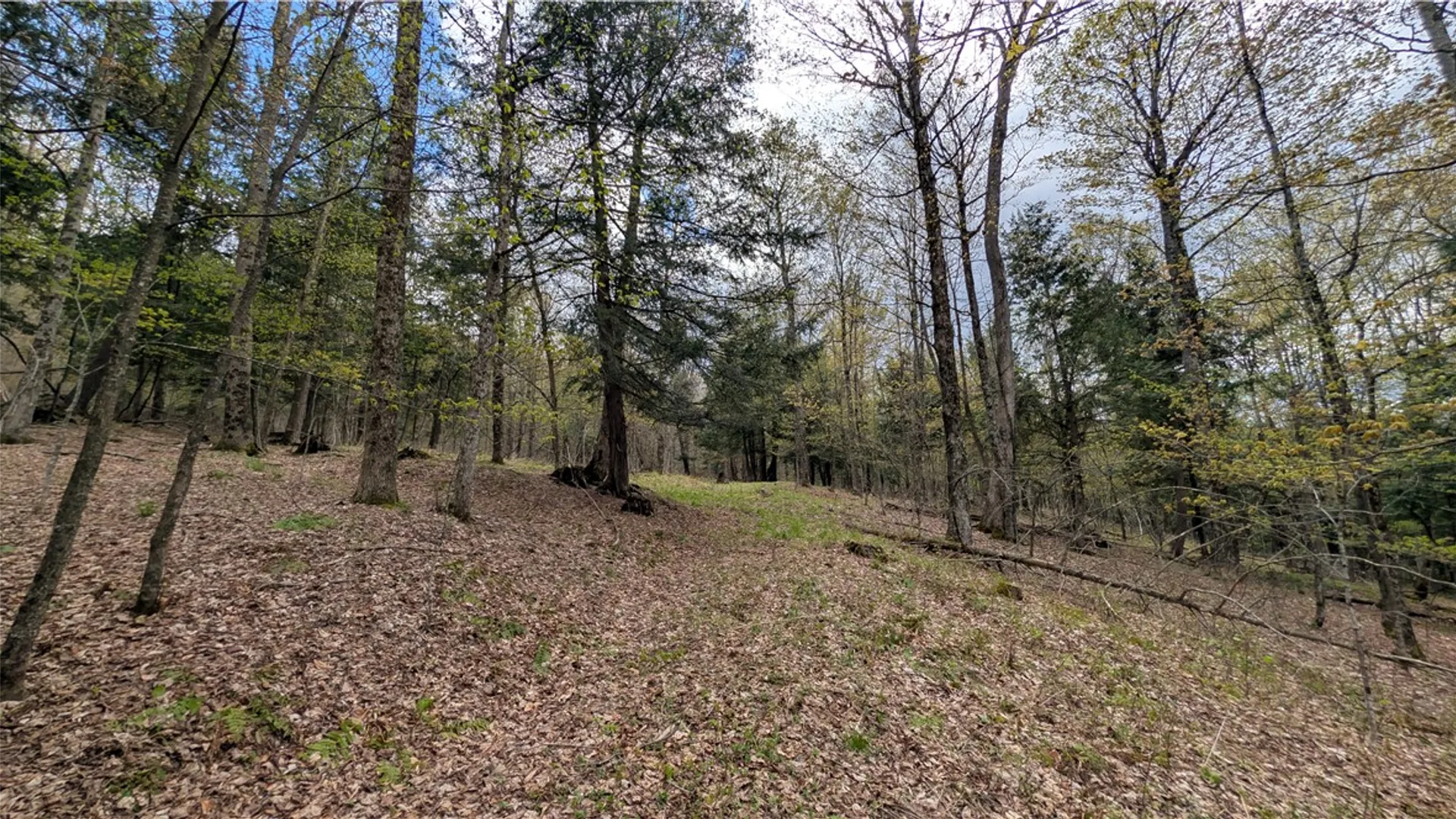 Property at Lot 12.32 Cr-31, Middlefield, NY 13326 28