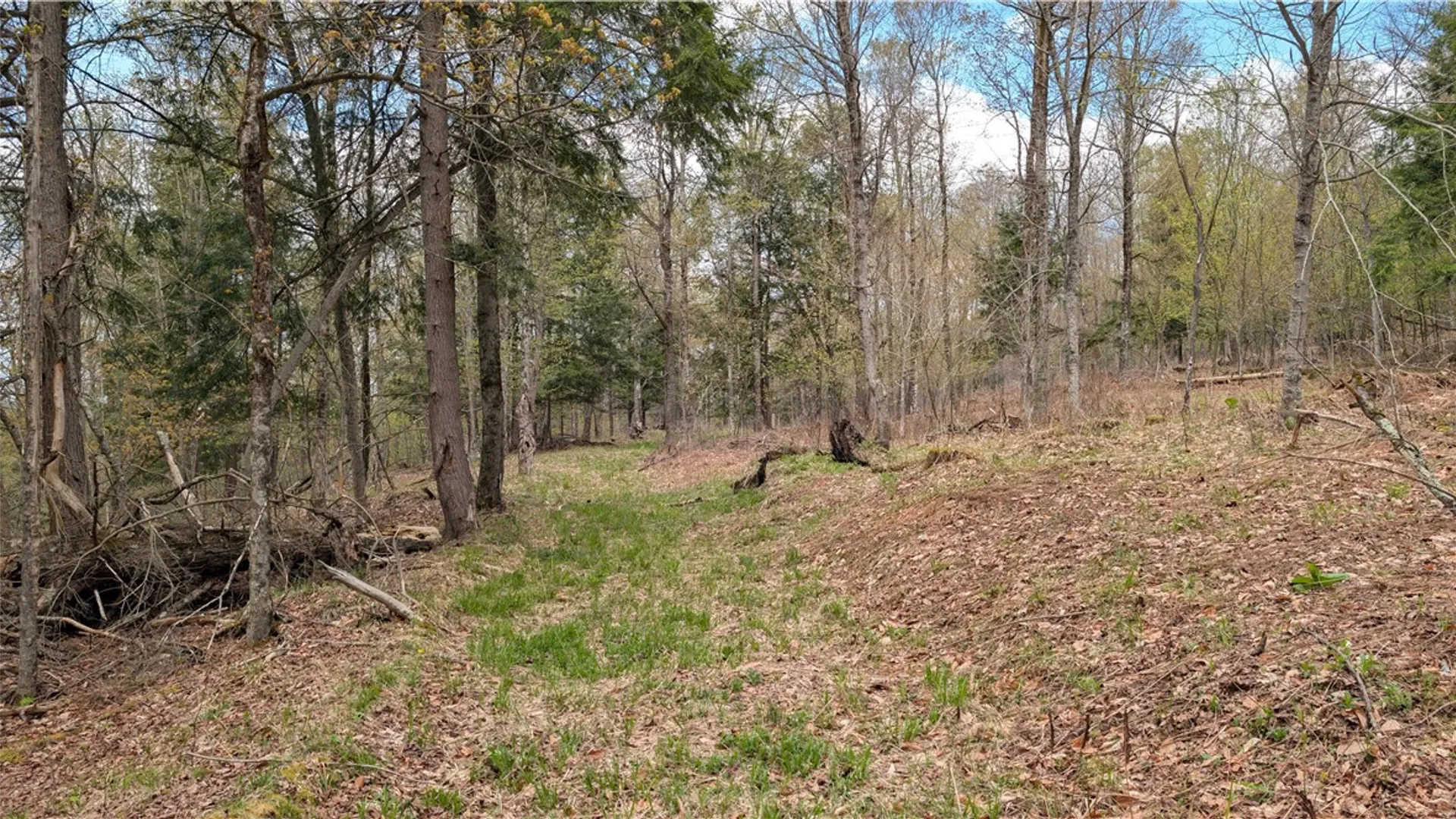 Property at Lot 12.32 Cr-31, Middlefield, NY 13326 29