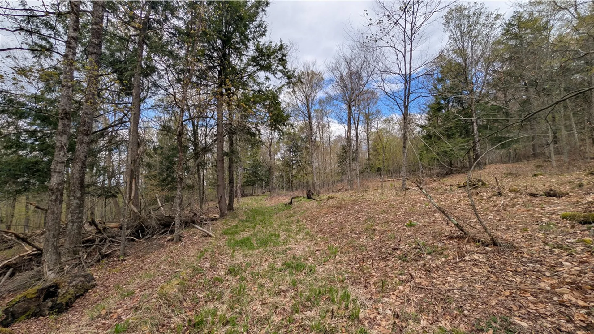 Property at Lot 12.32 Cr-31, Middlefield, NY 13326 30