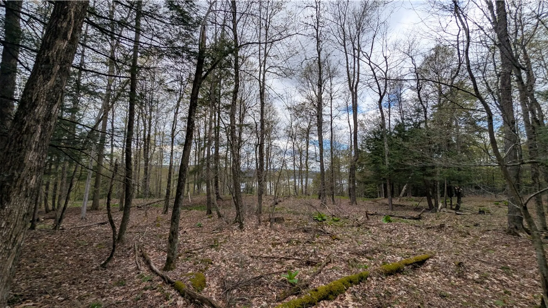 Property at Lot 12.32 Cr-31, Middlefield, NY 13326 32