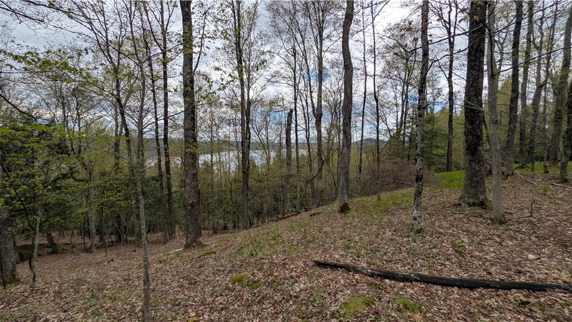 Property at Lot 12.32 Cr-31, Middlefield, NY 13326 33