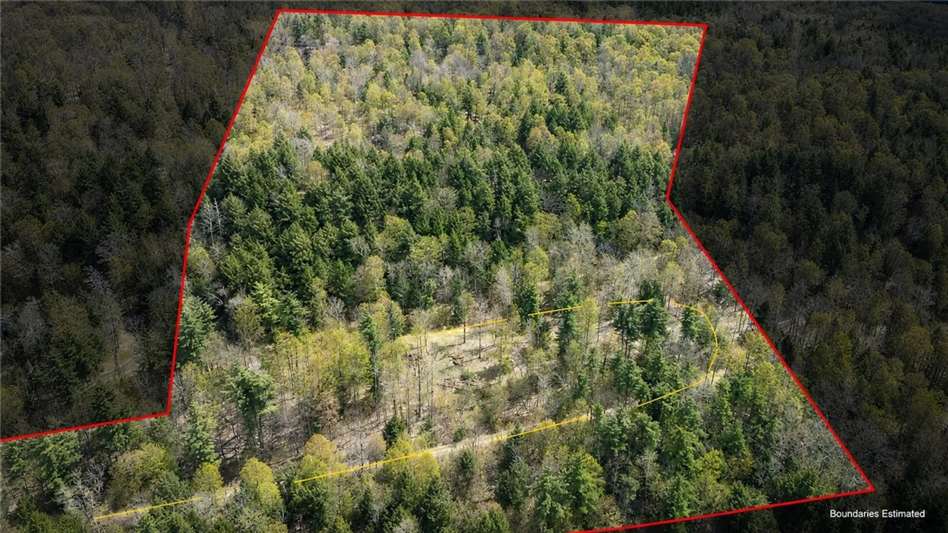 Property at Lot 12.32 Cr-31, Middlefield, NY 13326 4