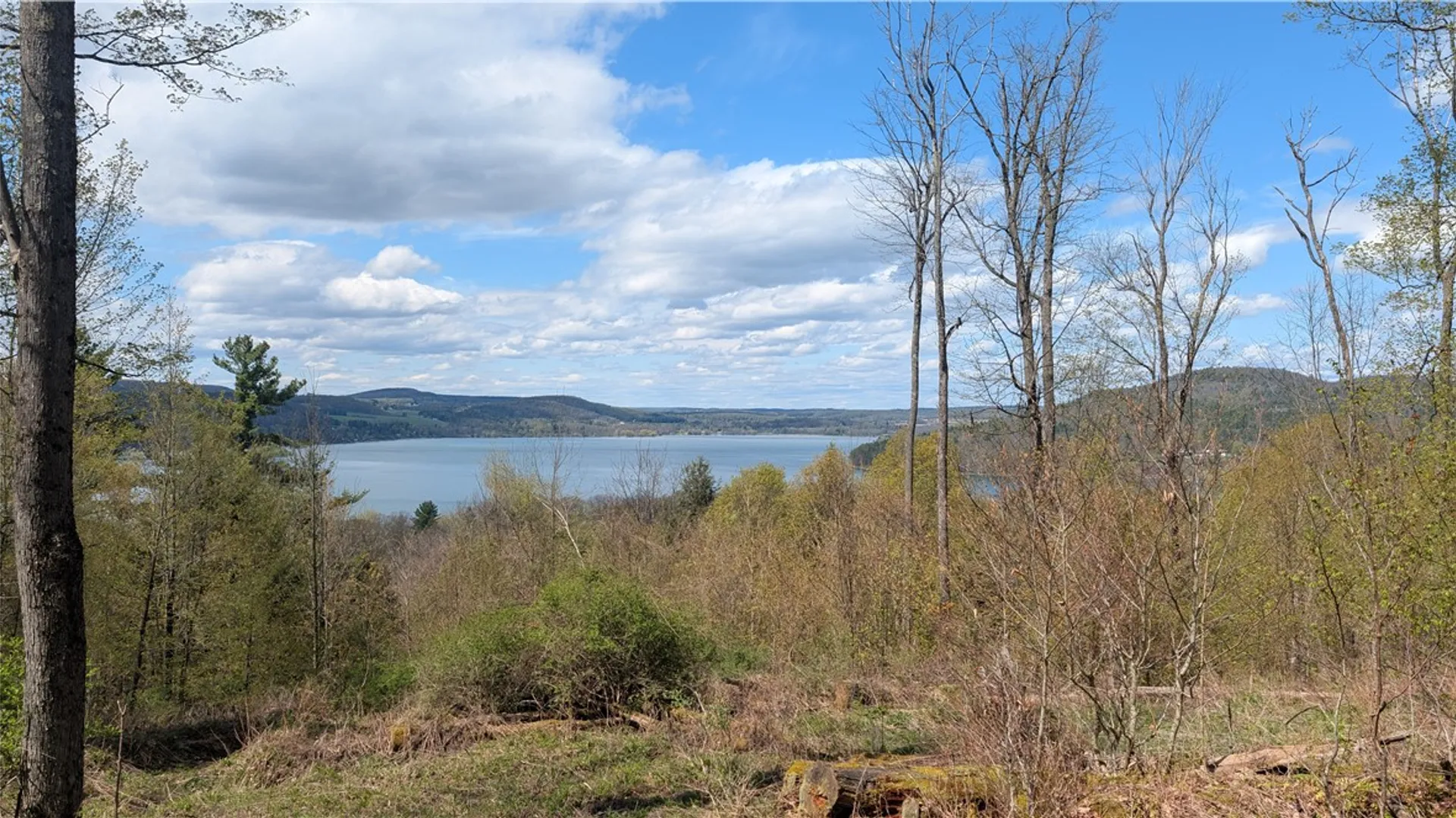 Property at Lot 12.32 Cr-31, Middlefield, NY 13326 5