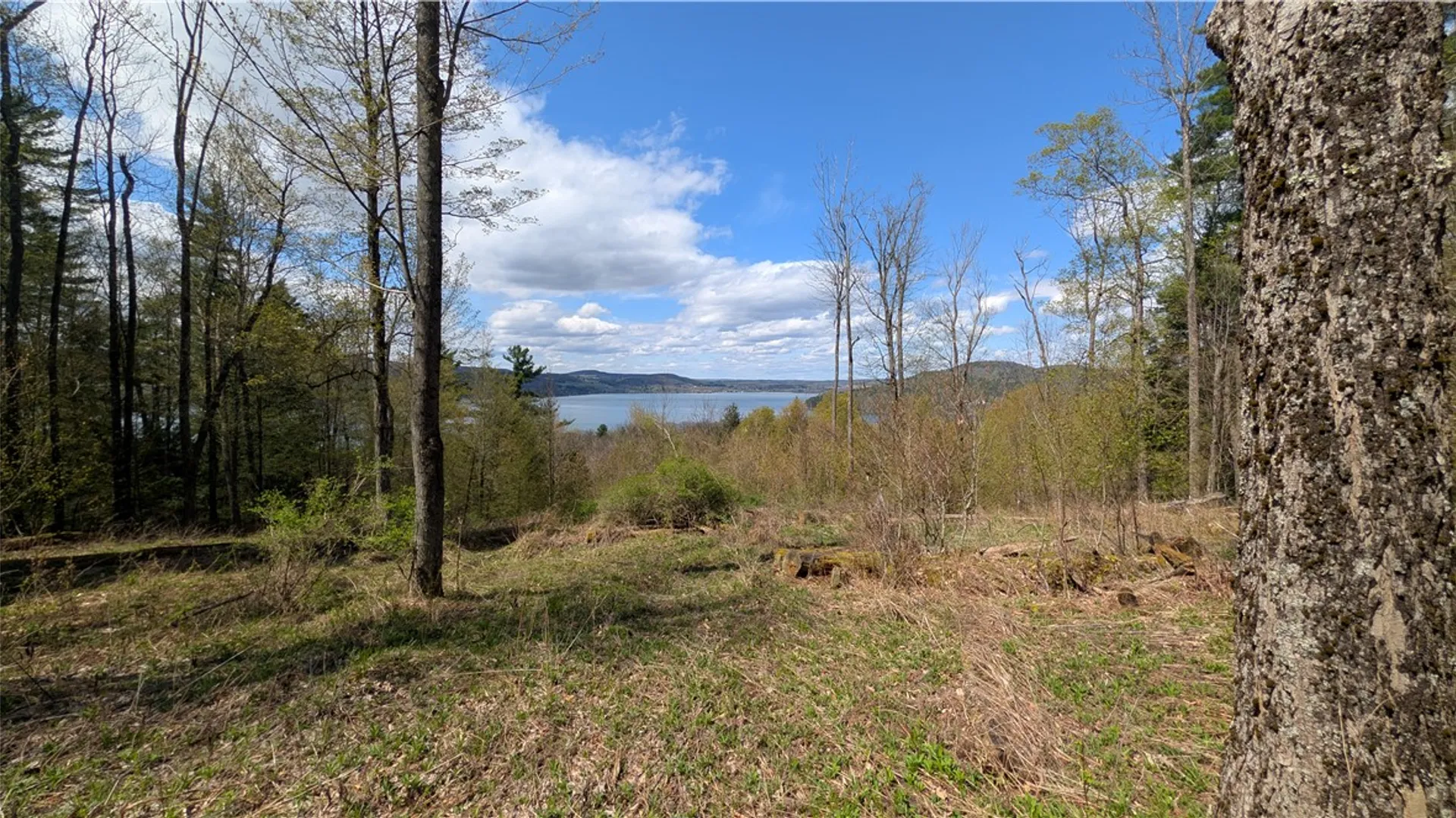 Property at Lot 12.32 Cr-31, Middlefield, NY 13326 6