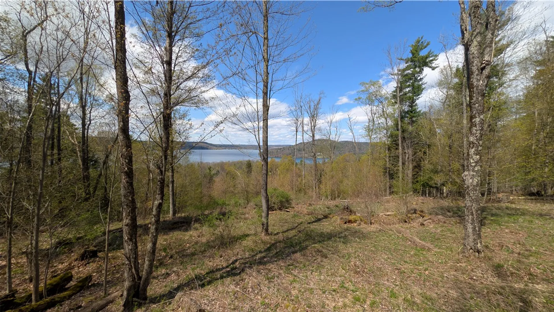 Property at Lot 12.32 Cr-31, Middlefield, NY 13326 7