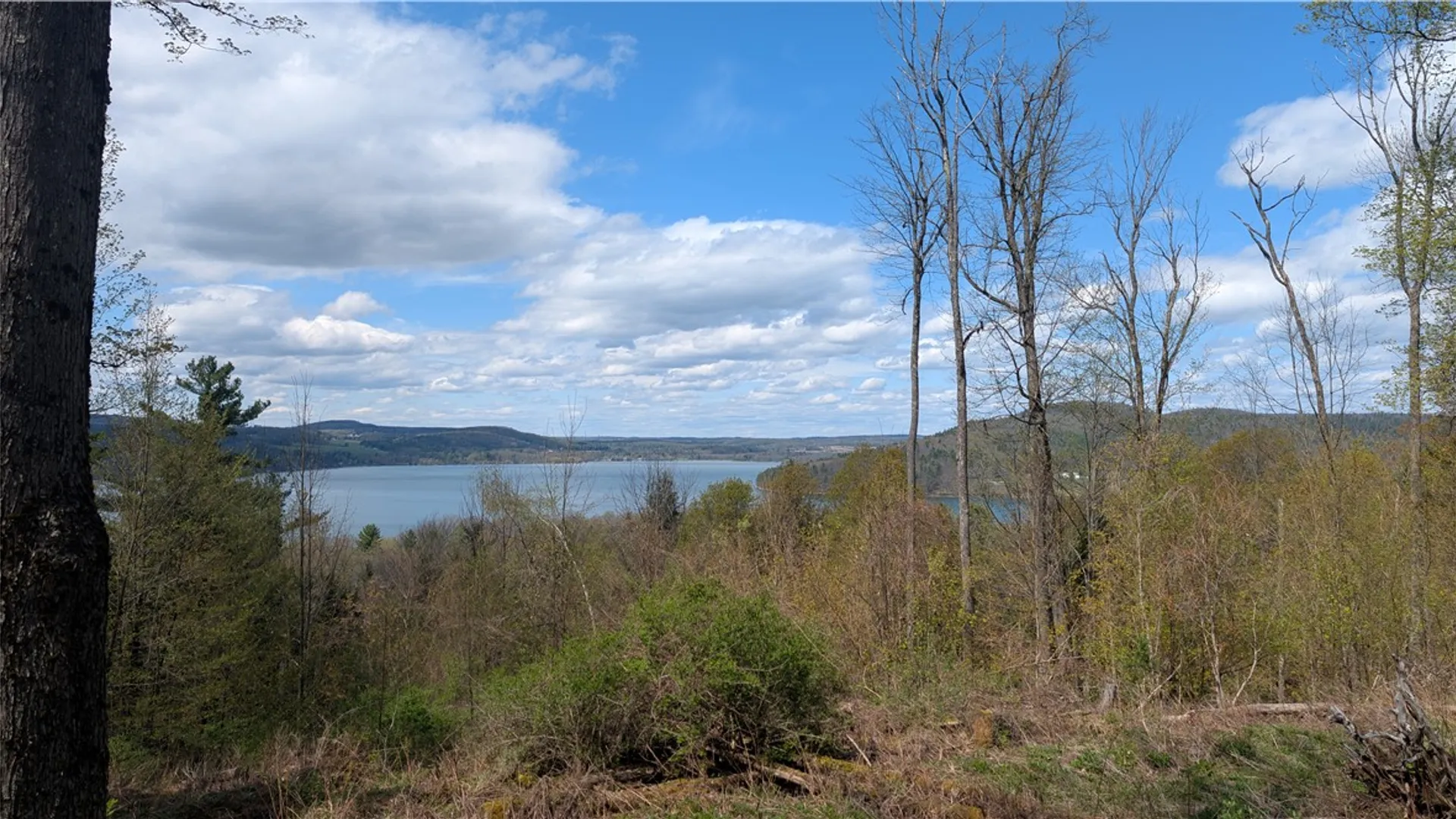 Property at Lot 12.32 Cr-31, Middlefield, NY 13326 8