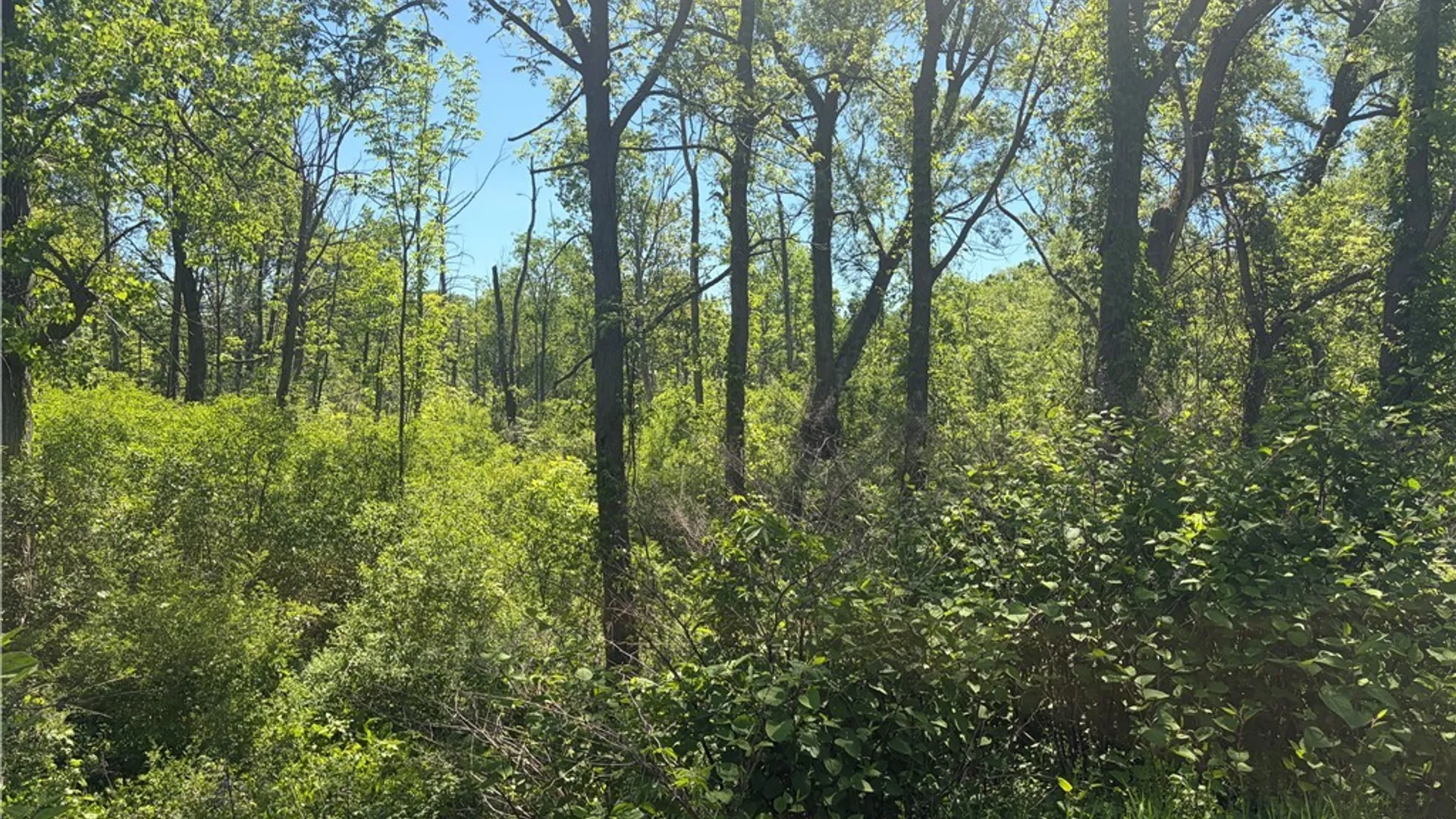 Property at Townline Road, Onondaga, NY 13108 4