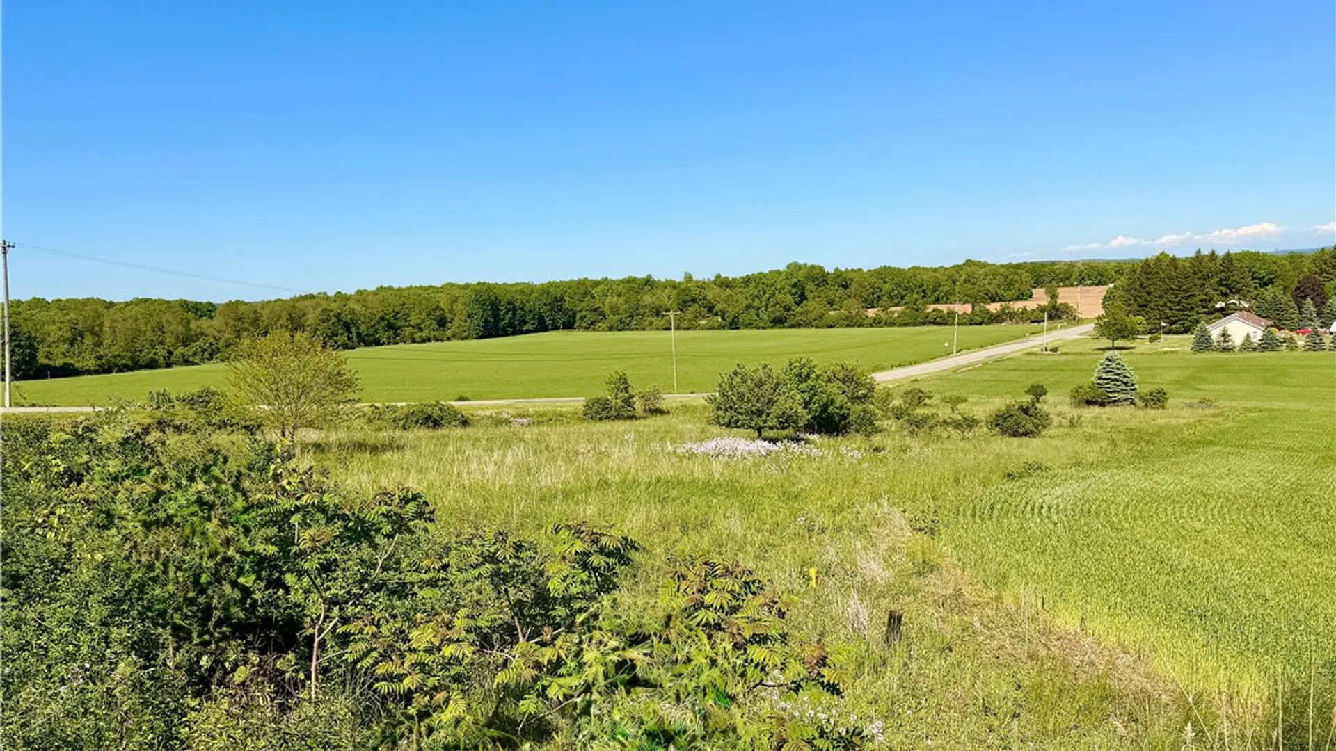 Property at 0 Daley Rd, Caledonia, NY 14423 6