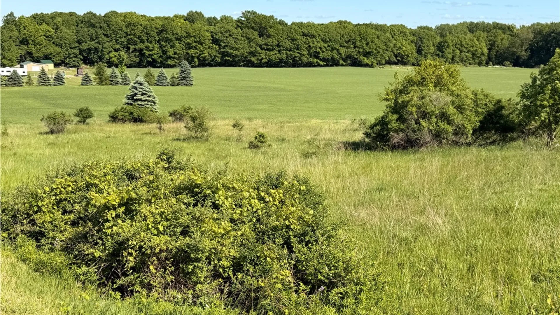 Property at 0 Daley Rd, Caledonia, NY 14423 9