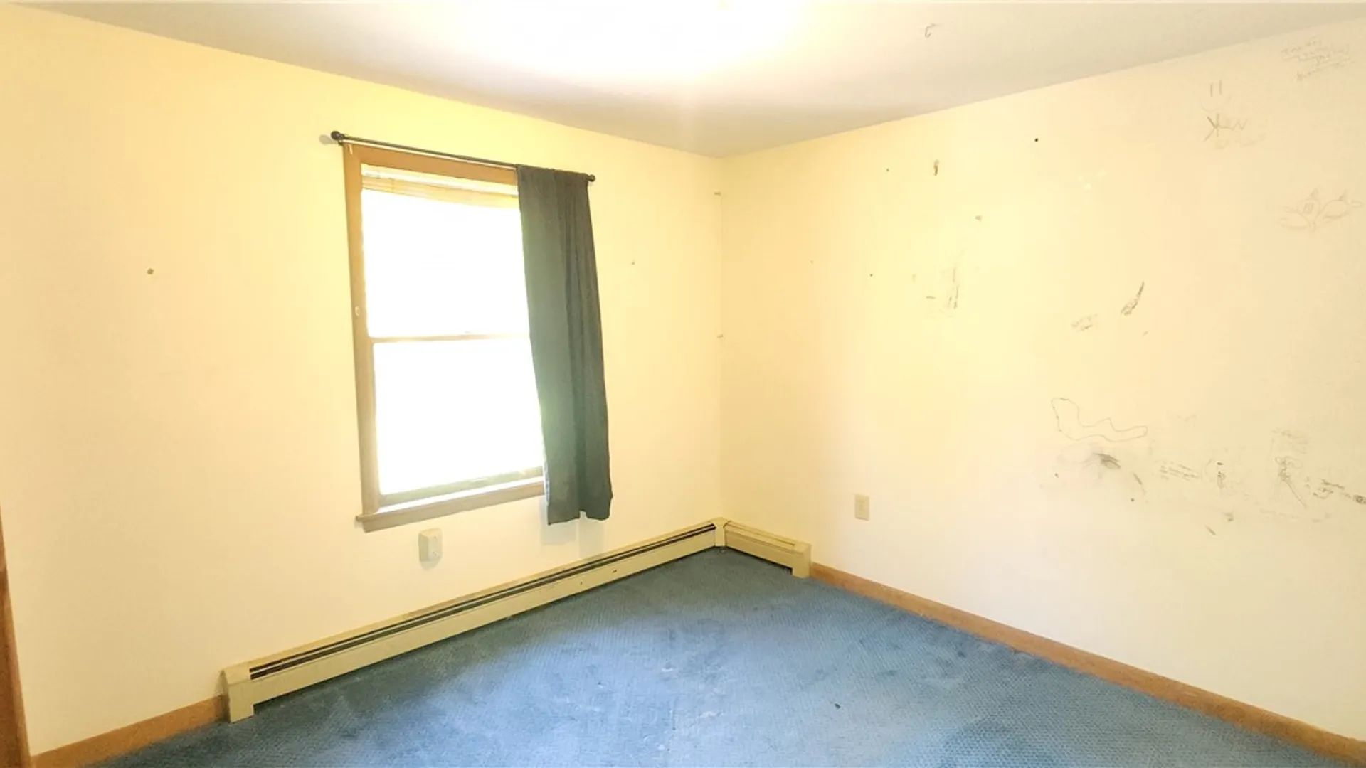 Property at 161 Griffin Road, Enfield, NY 14867 15