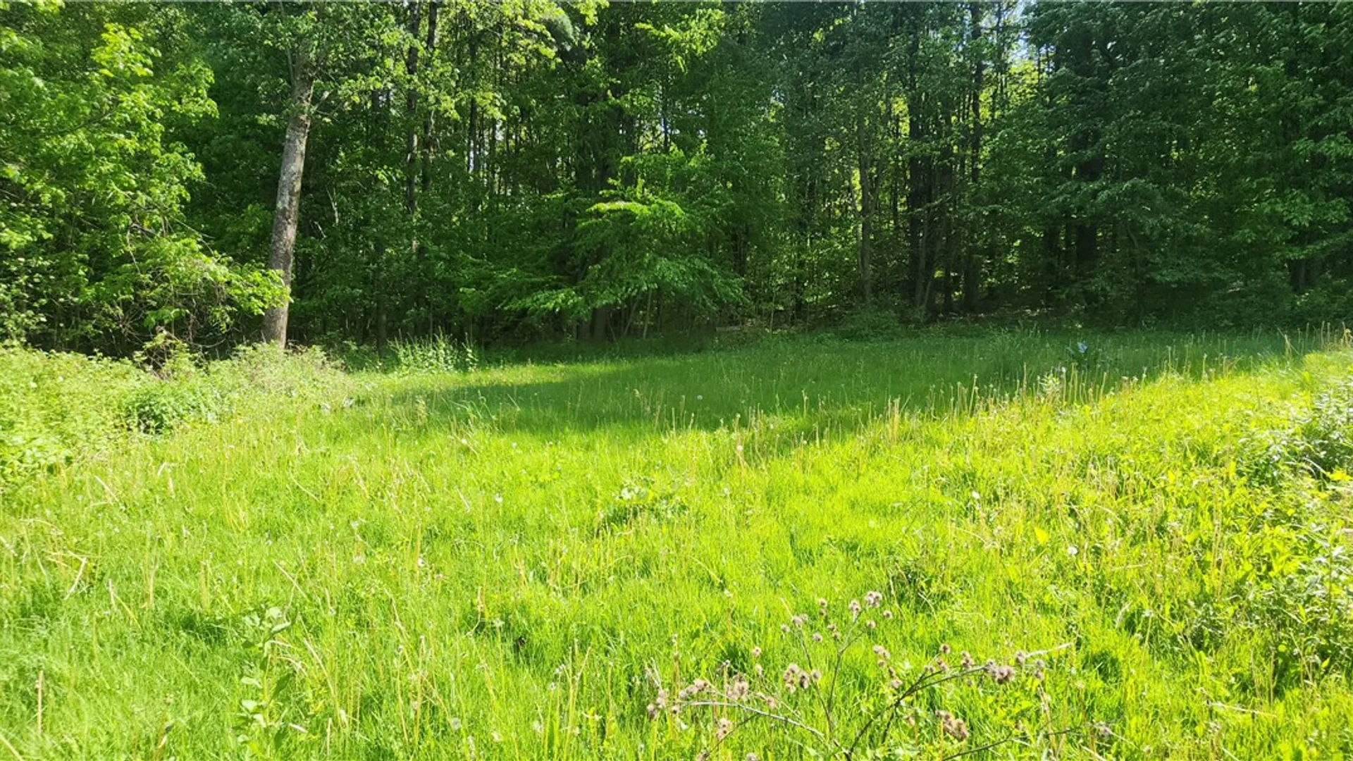 Property at 161 Griffin Road, Enfield, NY 14867 21