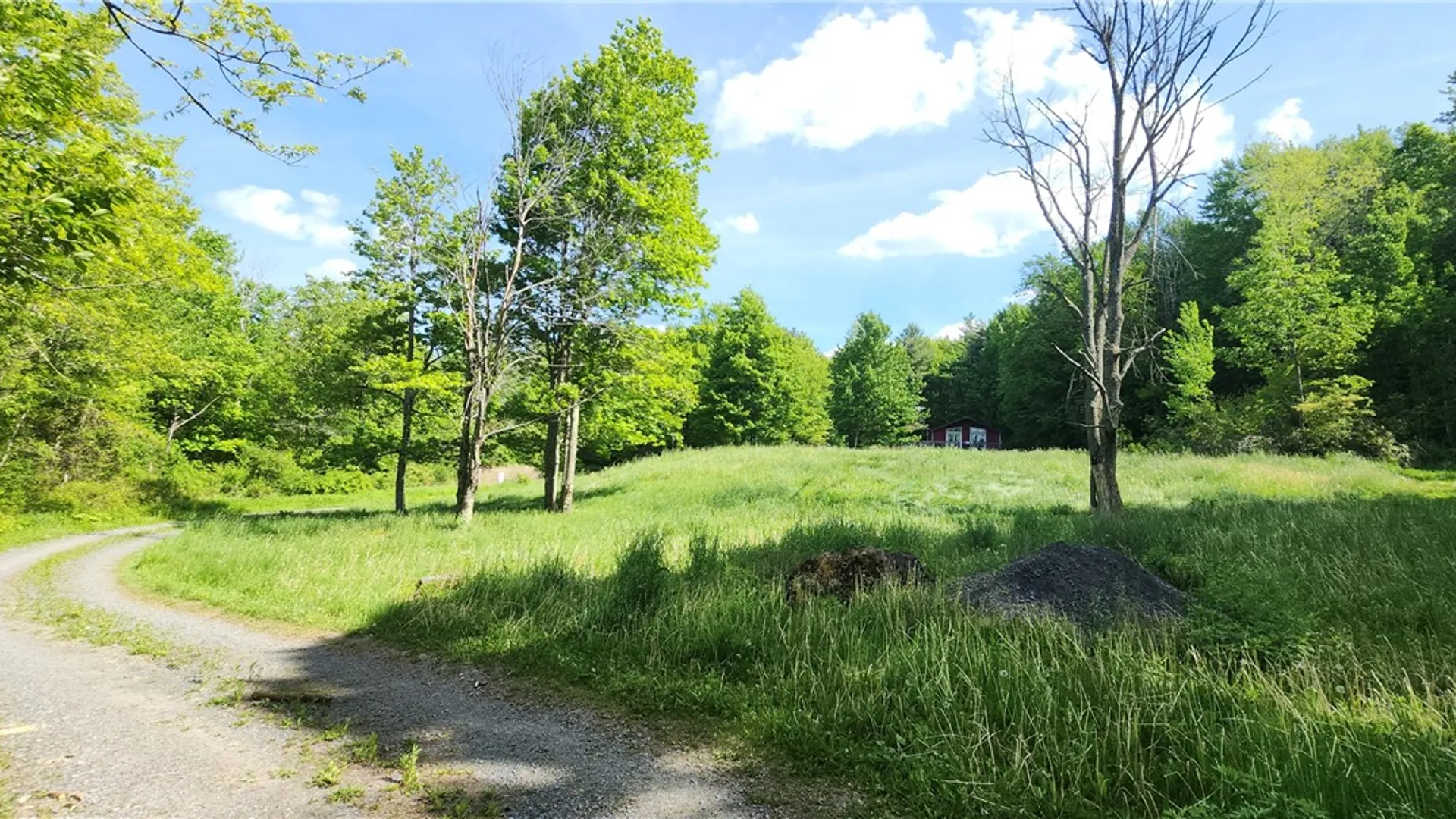Property at 161 Griffin Road, Enfield, NY 14867 24