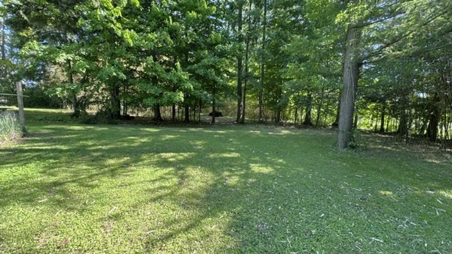 Property at 173 Stegelske Avenue, Dunkirk, NY 14048 9
