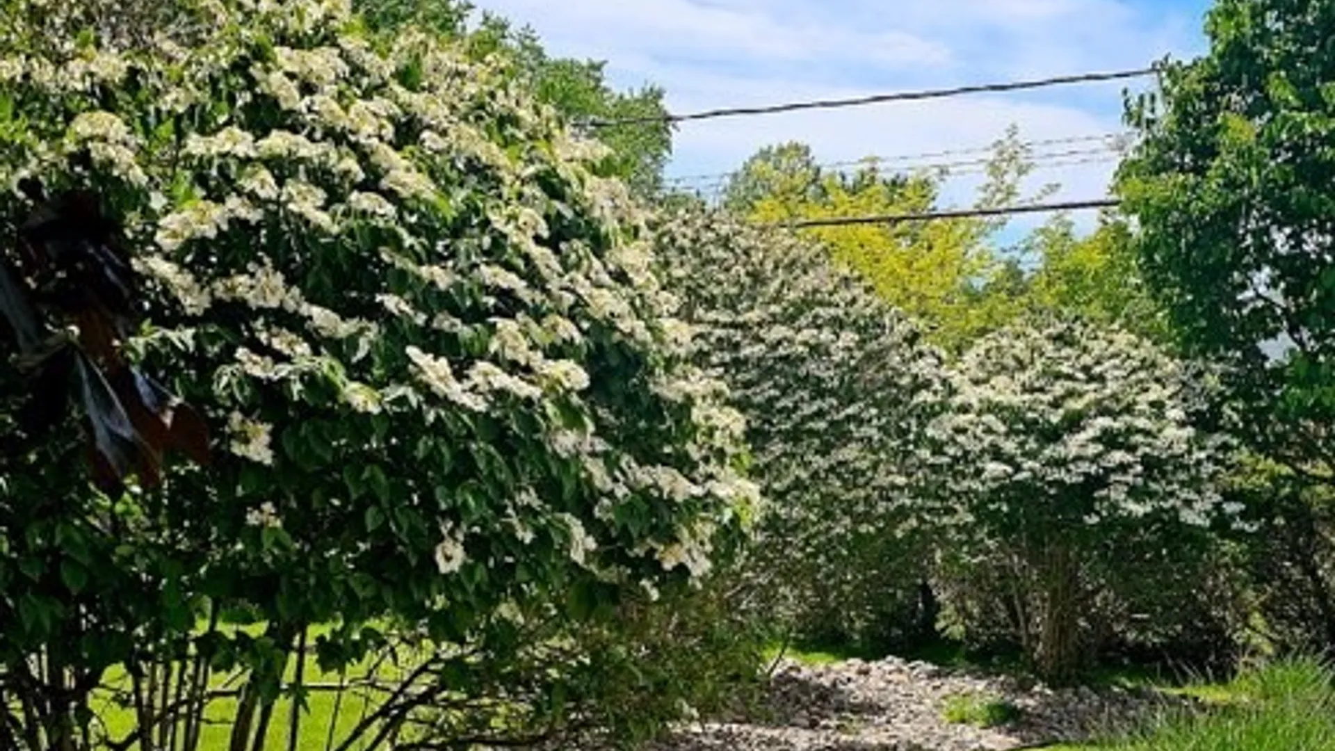 Property at 3 Barnett Drive, West Seneca, NY 14224 46