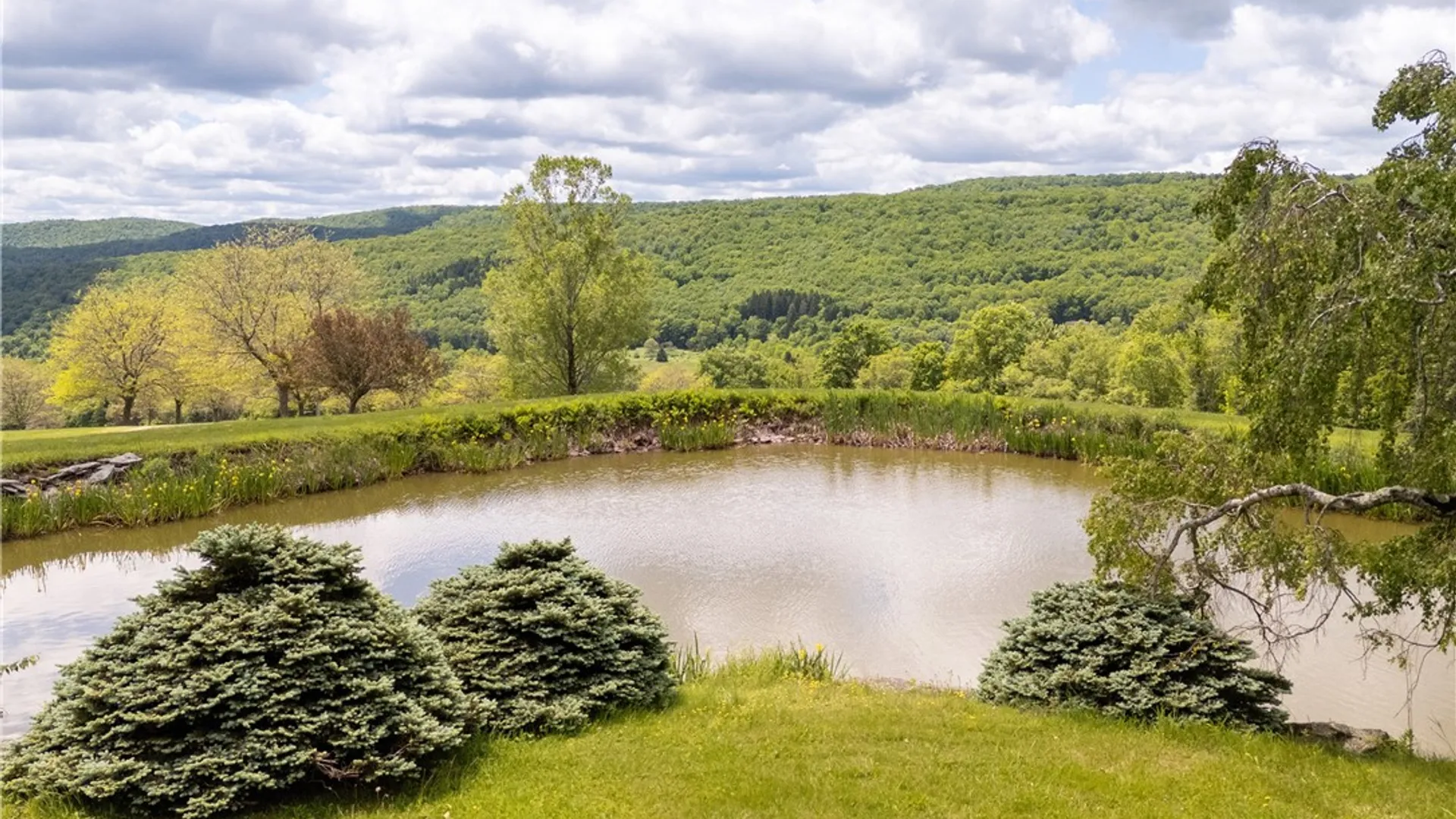Property at 94 Overlook Drive, Andes, NY 13731 45