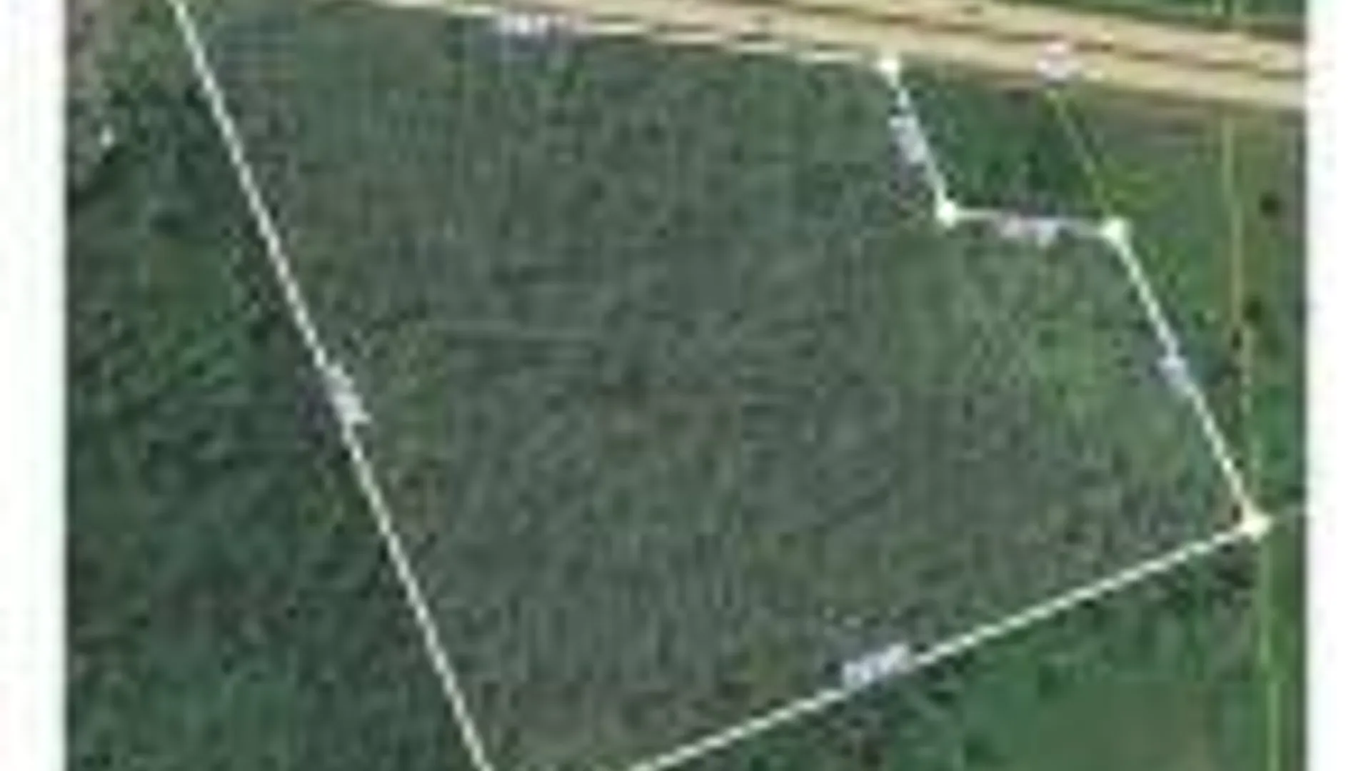 Property at Lot #26 Highway Route 20, Sharon Springs, NY 13459 10