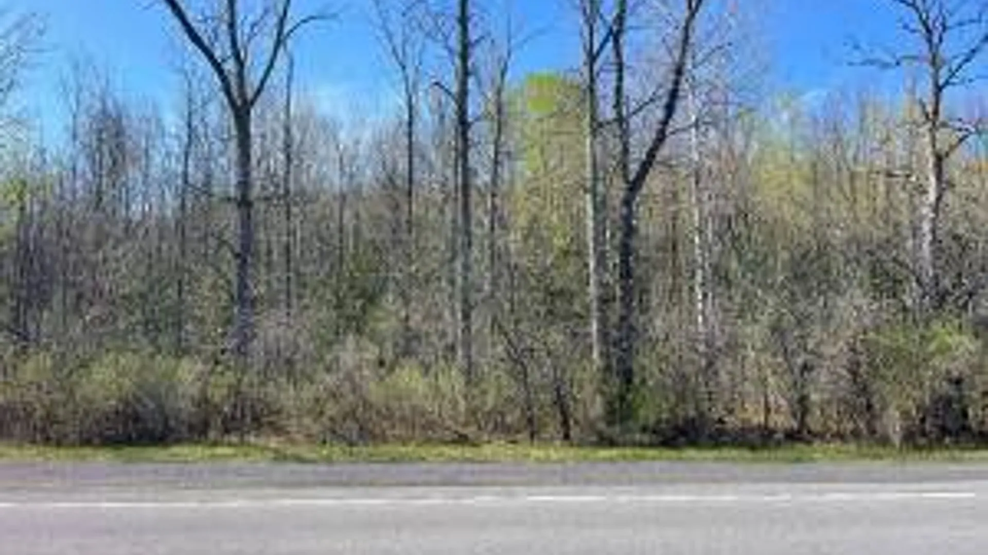 Property at Lot #26 Highway Route 20, Sharon Springs, NY 13459 2