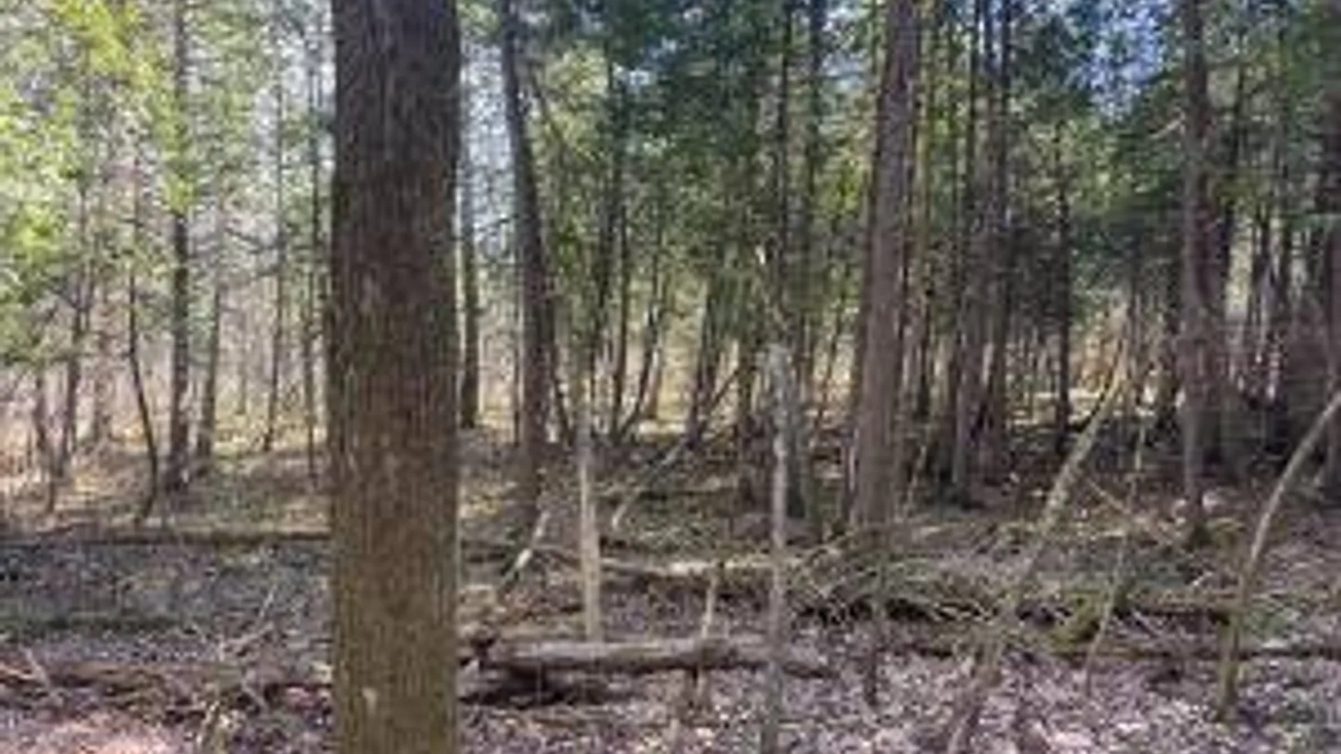 Property at Lot #26 Highway Route 20, Sharon Springs, NY 13459 3