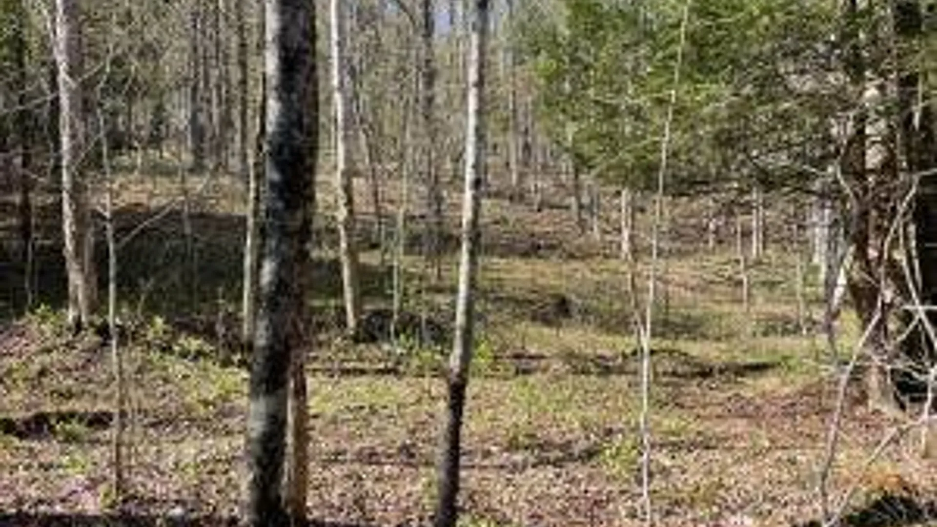 Property at Lot #26 Highway Route 20, Sharon Springs, NY 13459 5