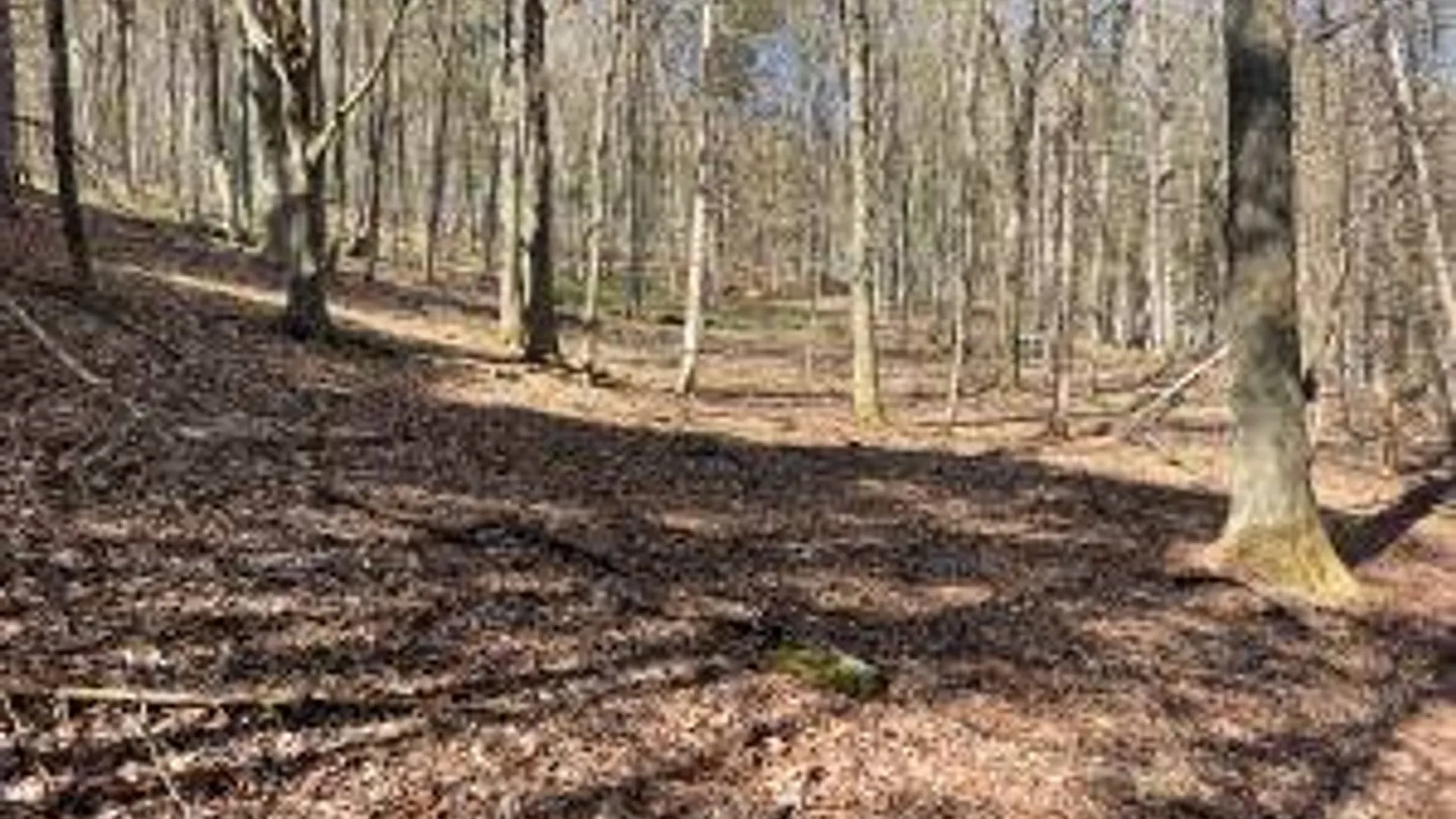 Property at Lot #26 Highway Route 20, Sharon Springs, NY 13459 6