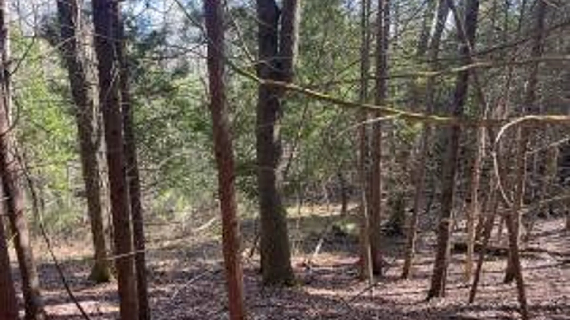 Property at Lot #26 Highway Route 20, Sharon Springs, NY 13459 7