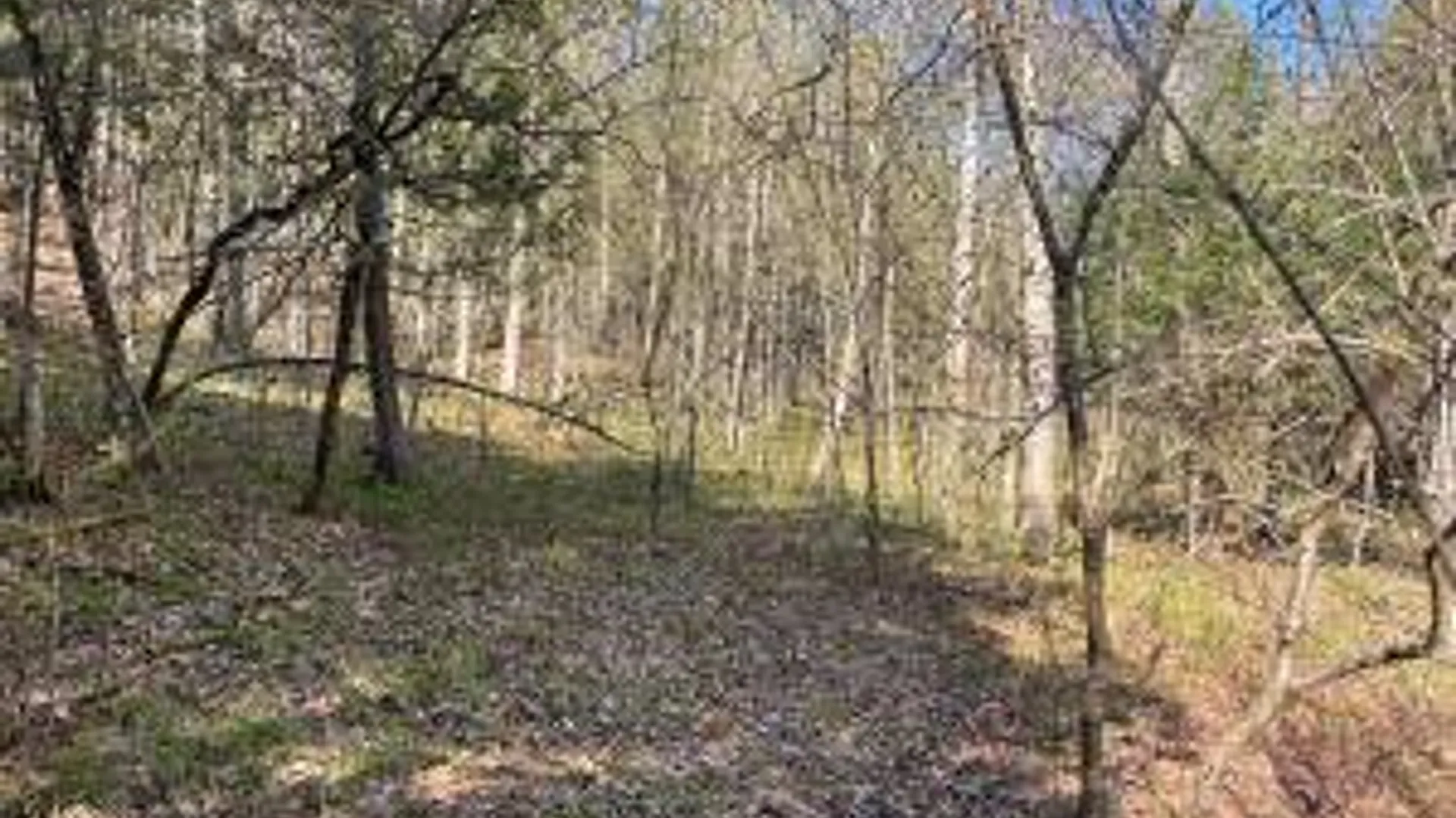 Property at Lot #26 Highway Route 20, Sharon Springs, NY 13459 8