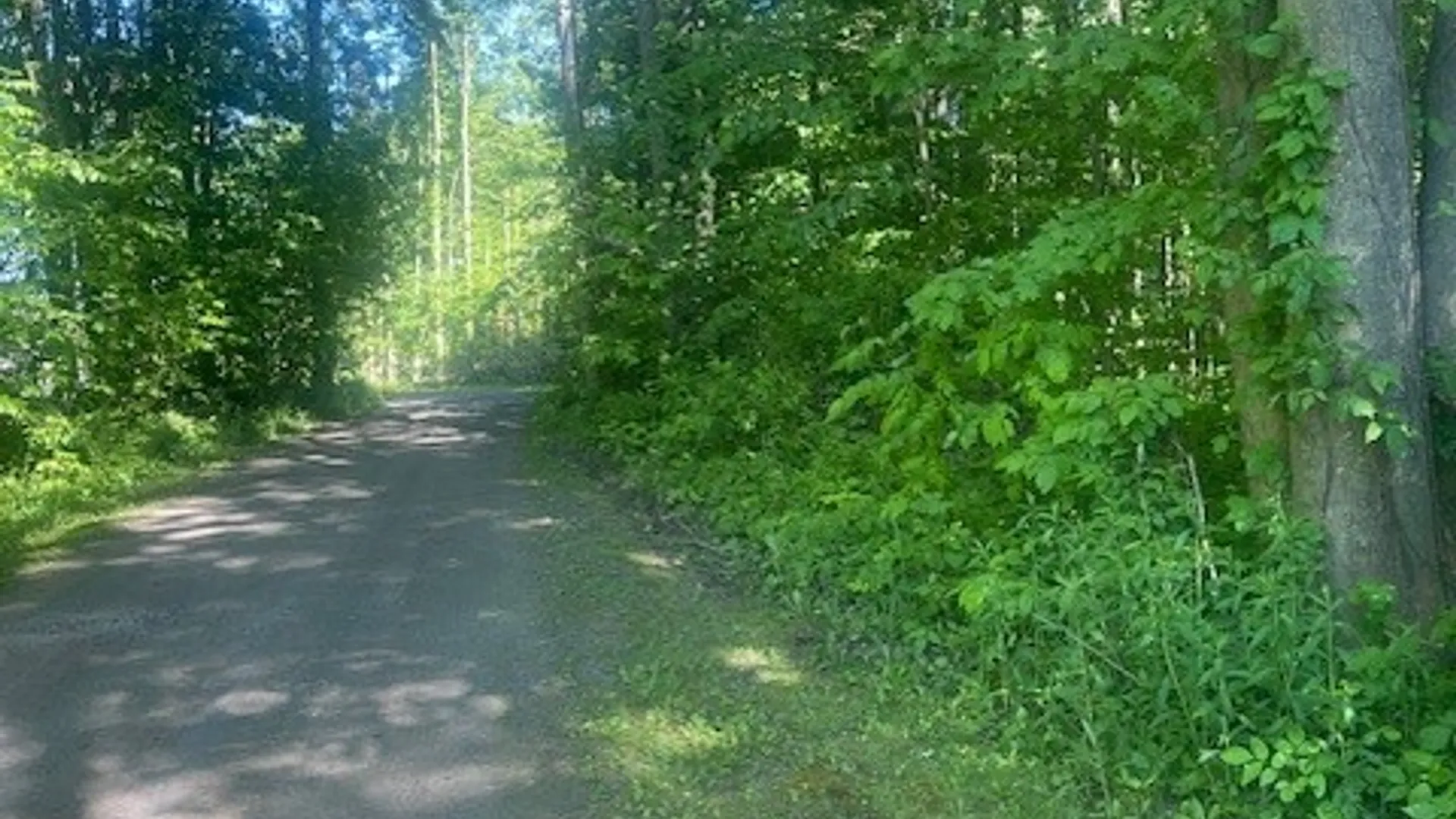 Property at 8 Brackett Road, Hannibal, NY 13074 15