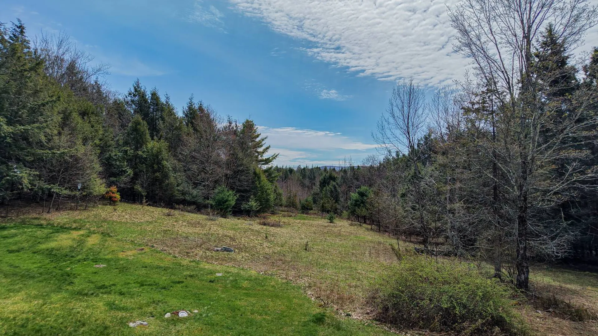 Property at 31 Van Etten Rd, Lexington, NY 12468 33