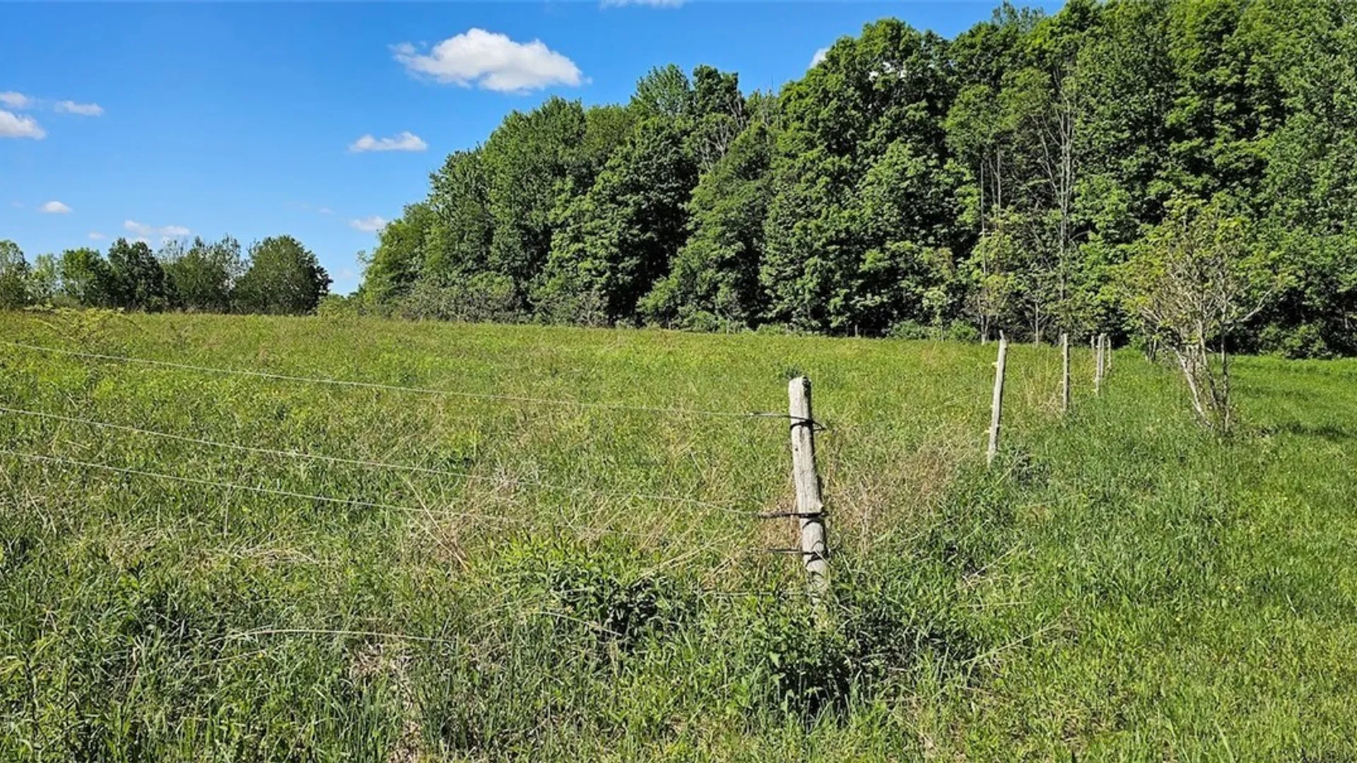 Property at Sprouls Road, Summerhill, NY 13045 17
