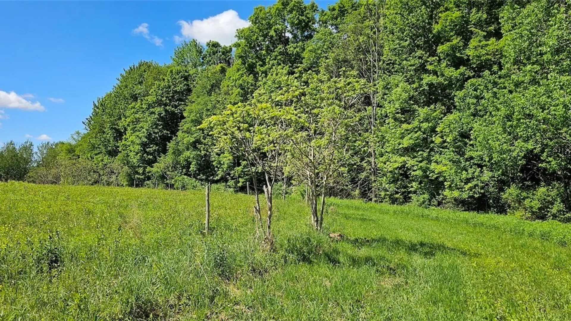 Property at Sprouls Road, Summerhill, NY 13045 18