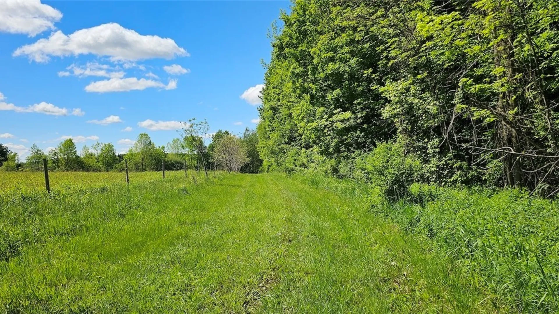 Property at Sprouls Road, Summerhill, NY 13045 19