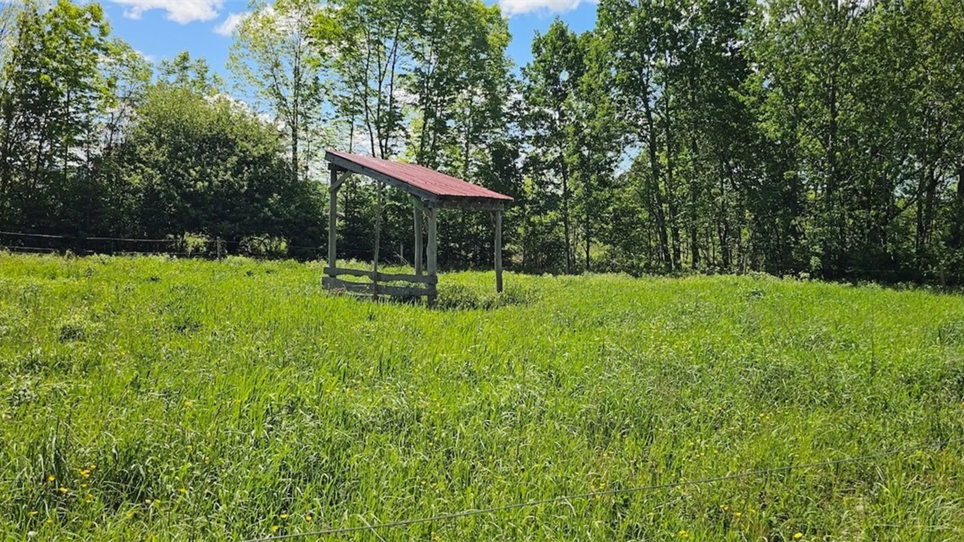 Property at Sprouls Road, Summerhill, NY 13045 20
