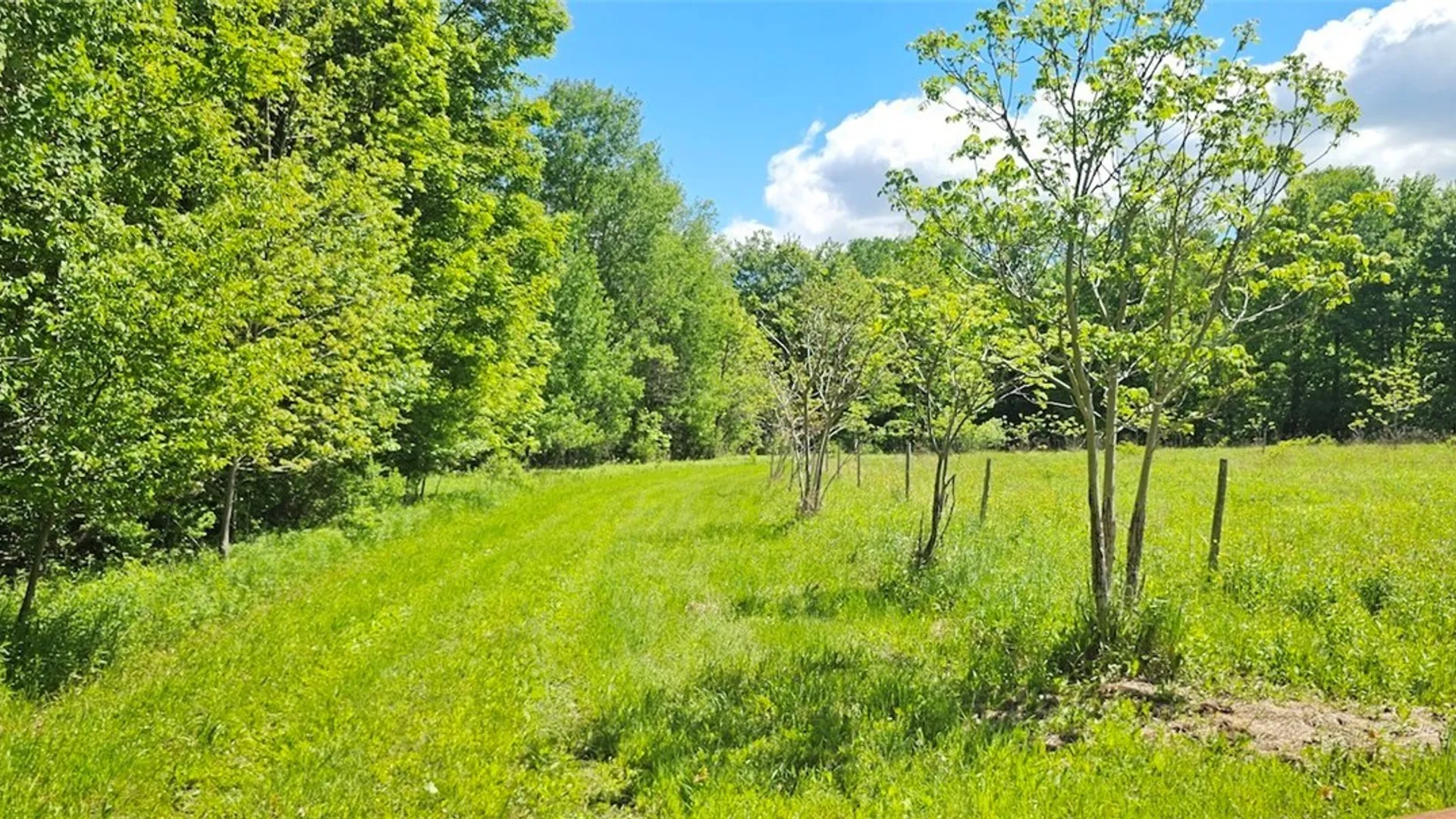 Property at Sprouls Road, Summerhill, NY 13045 22