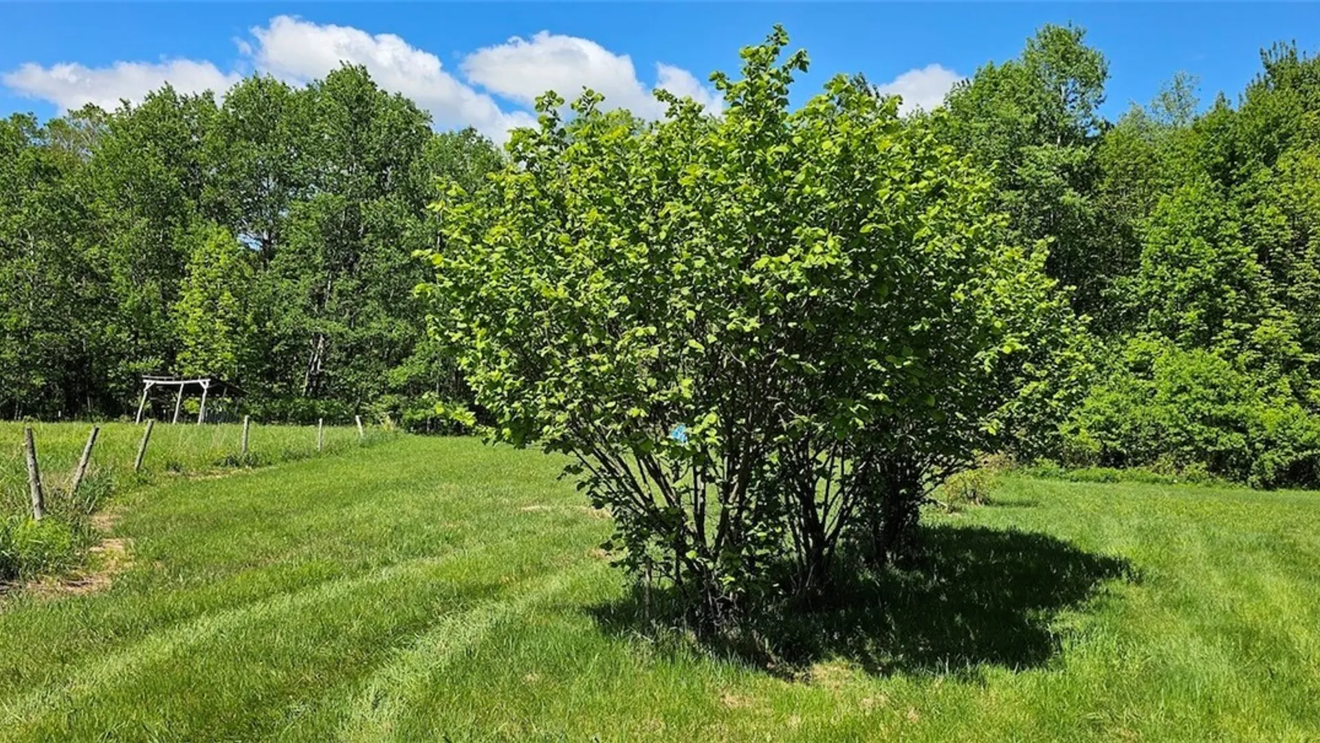 Property at Sprouls Road, Summerhill, NY 13045 23
